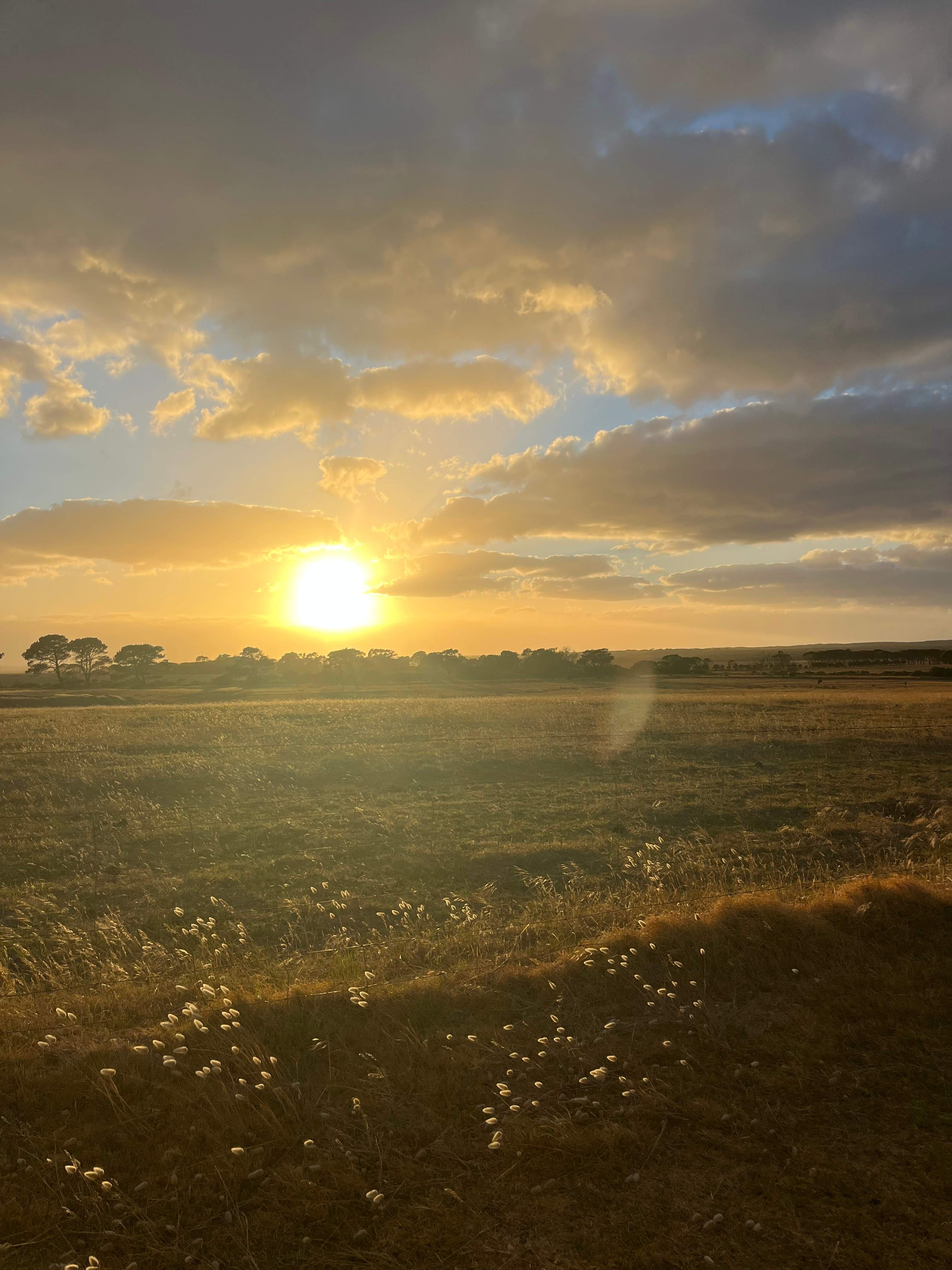 Munglinup Farm Stay