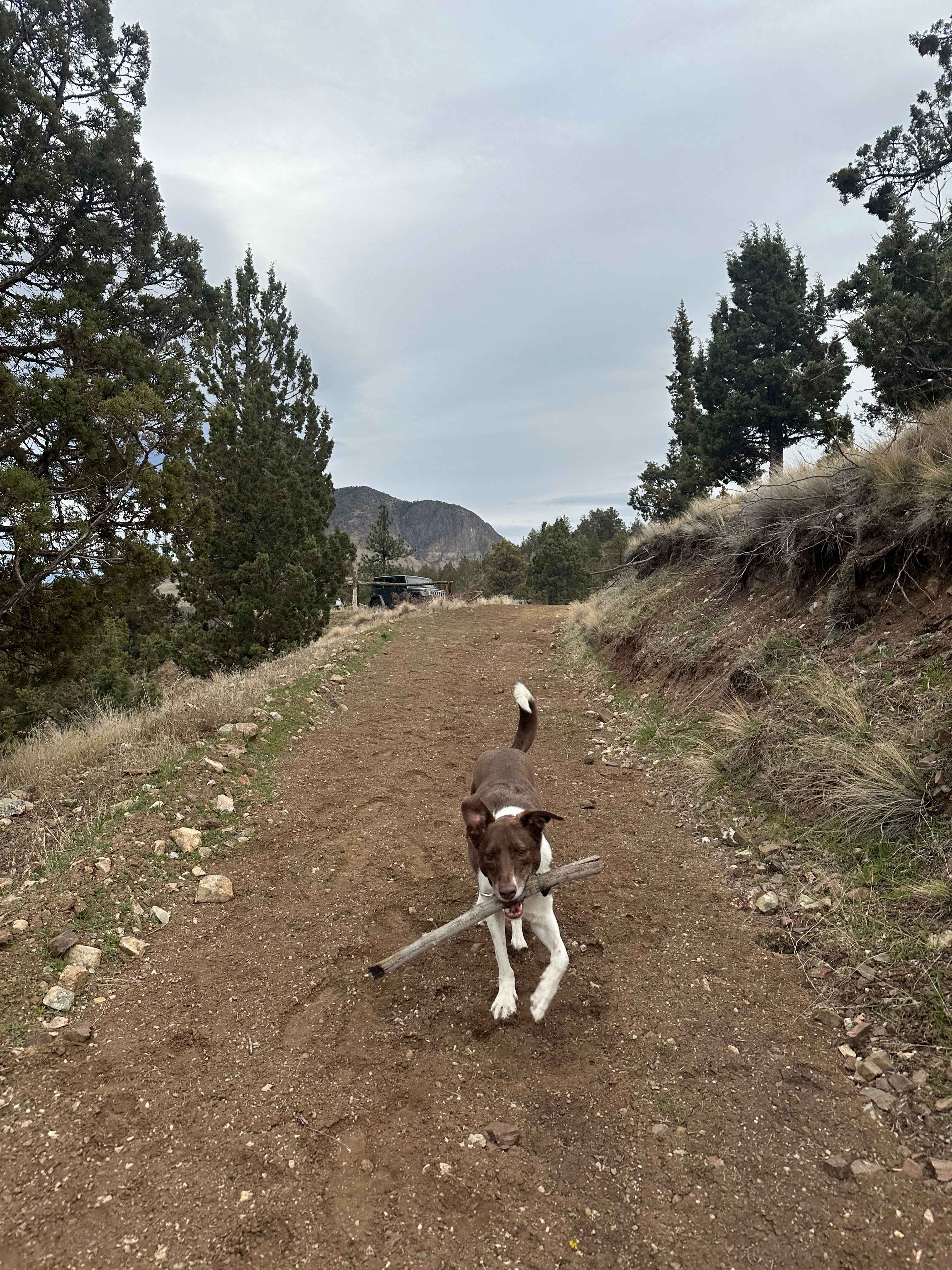Back Side of Painted Hills Camping