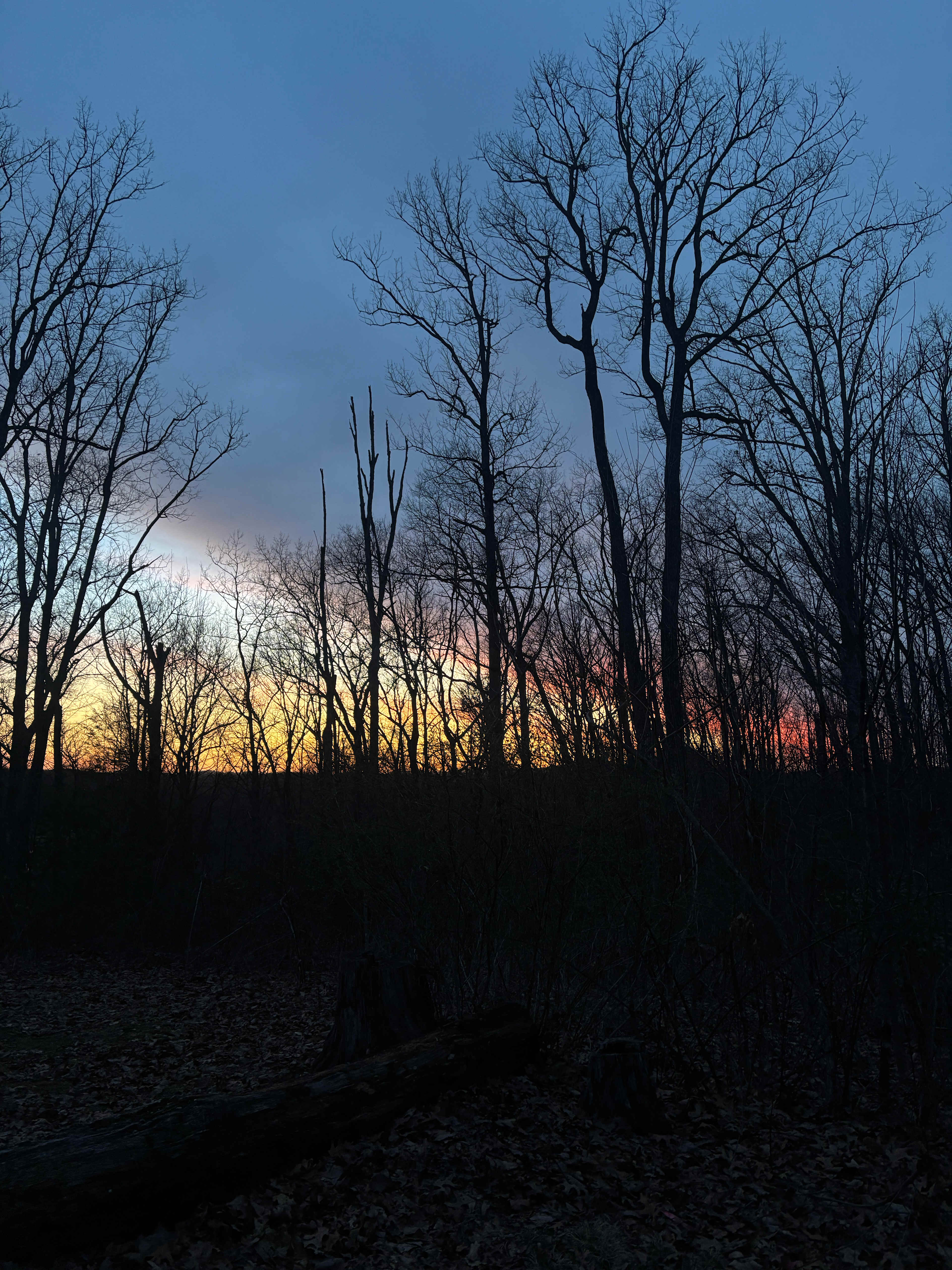 Arrowhead Bike Farm & Campground