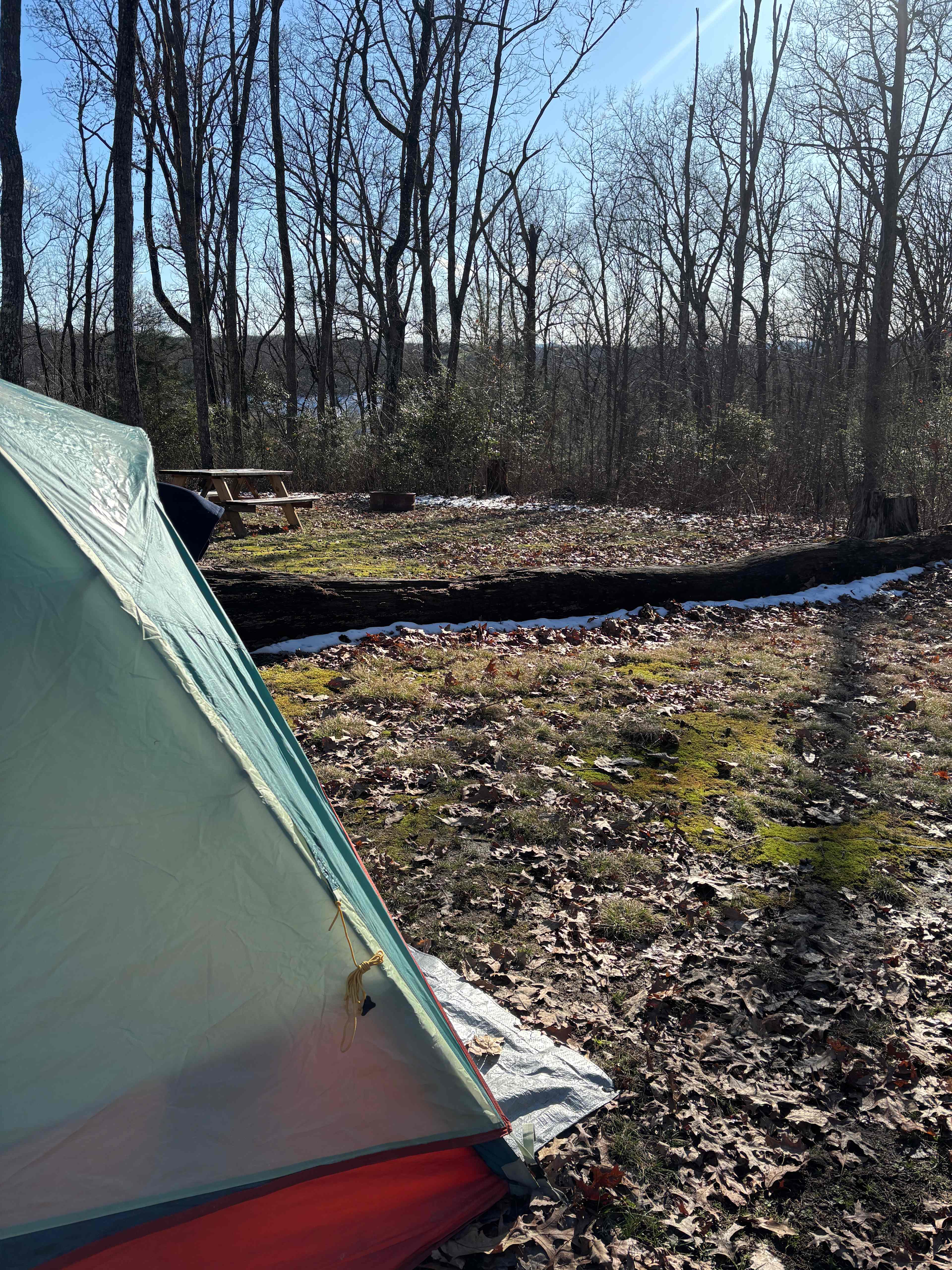 Picture of the site