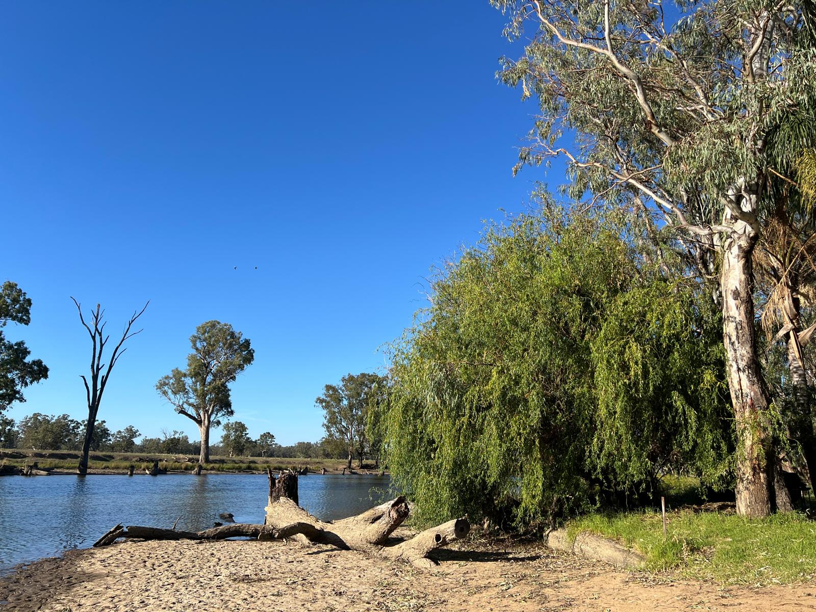 Cudgella on Bundidgerry Creek