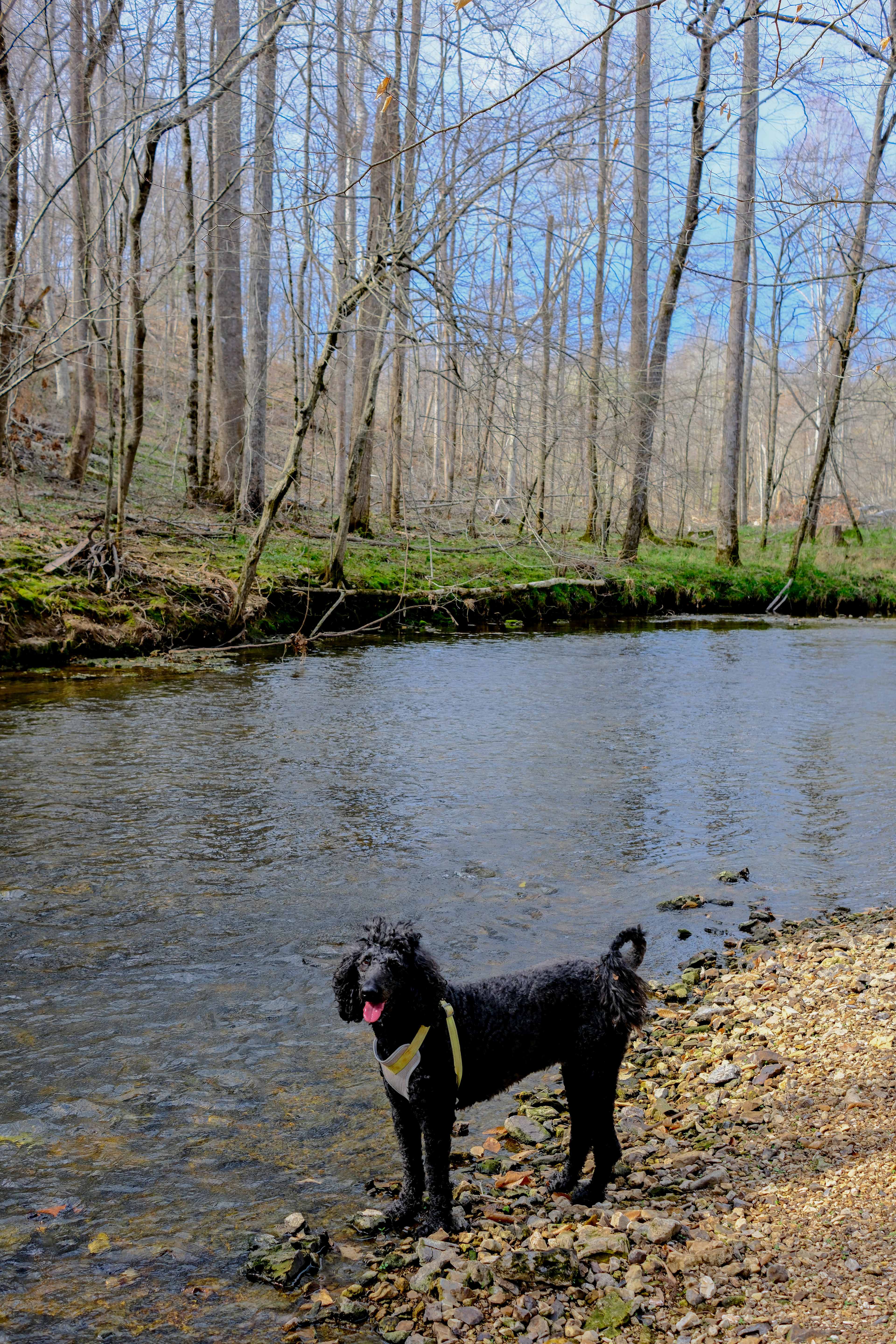 Rock Creek Wooded Campground