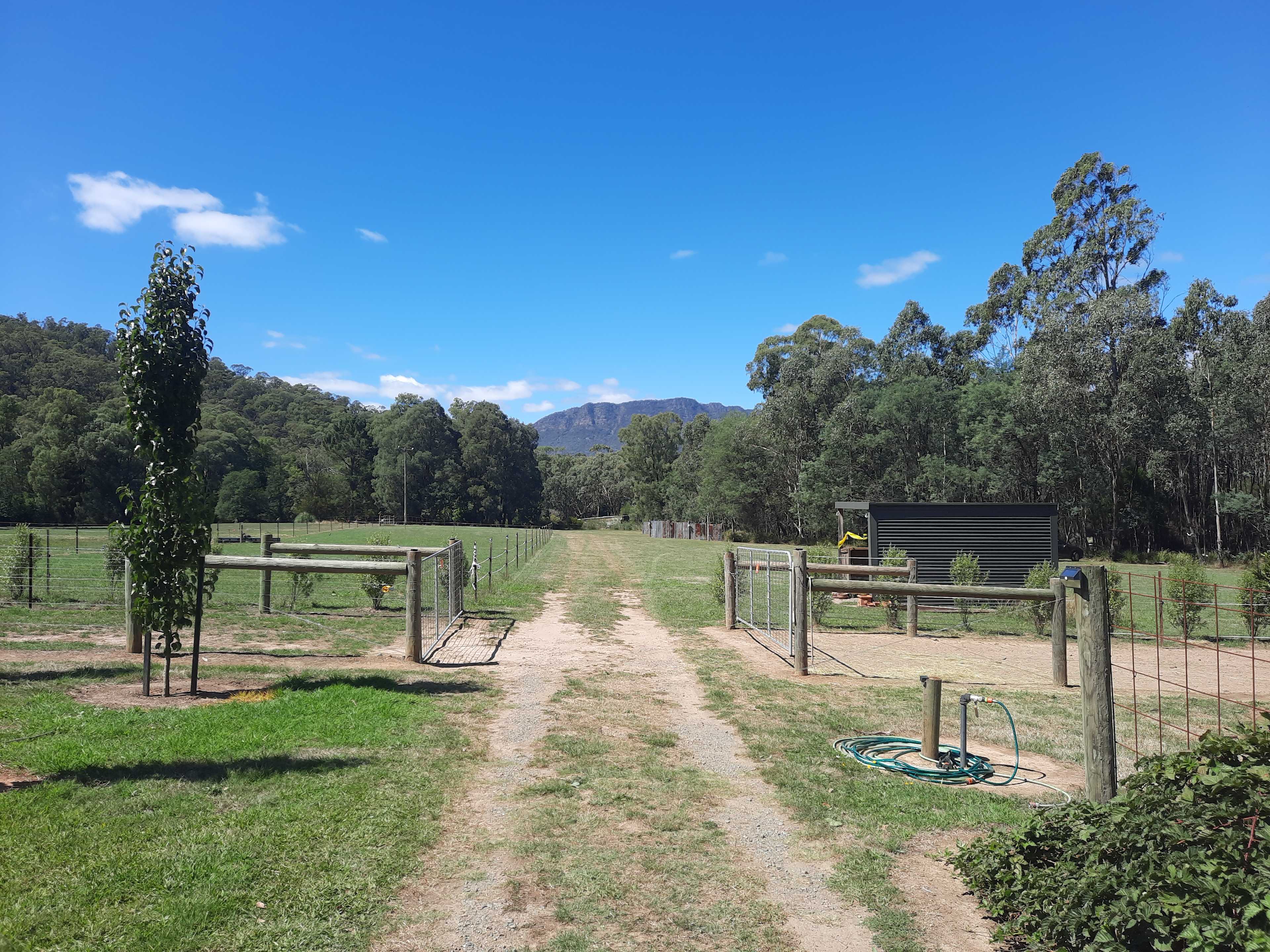 Galea Ranch