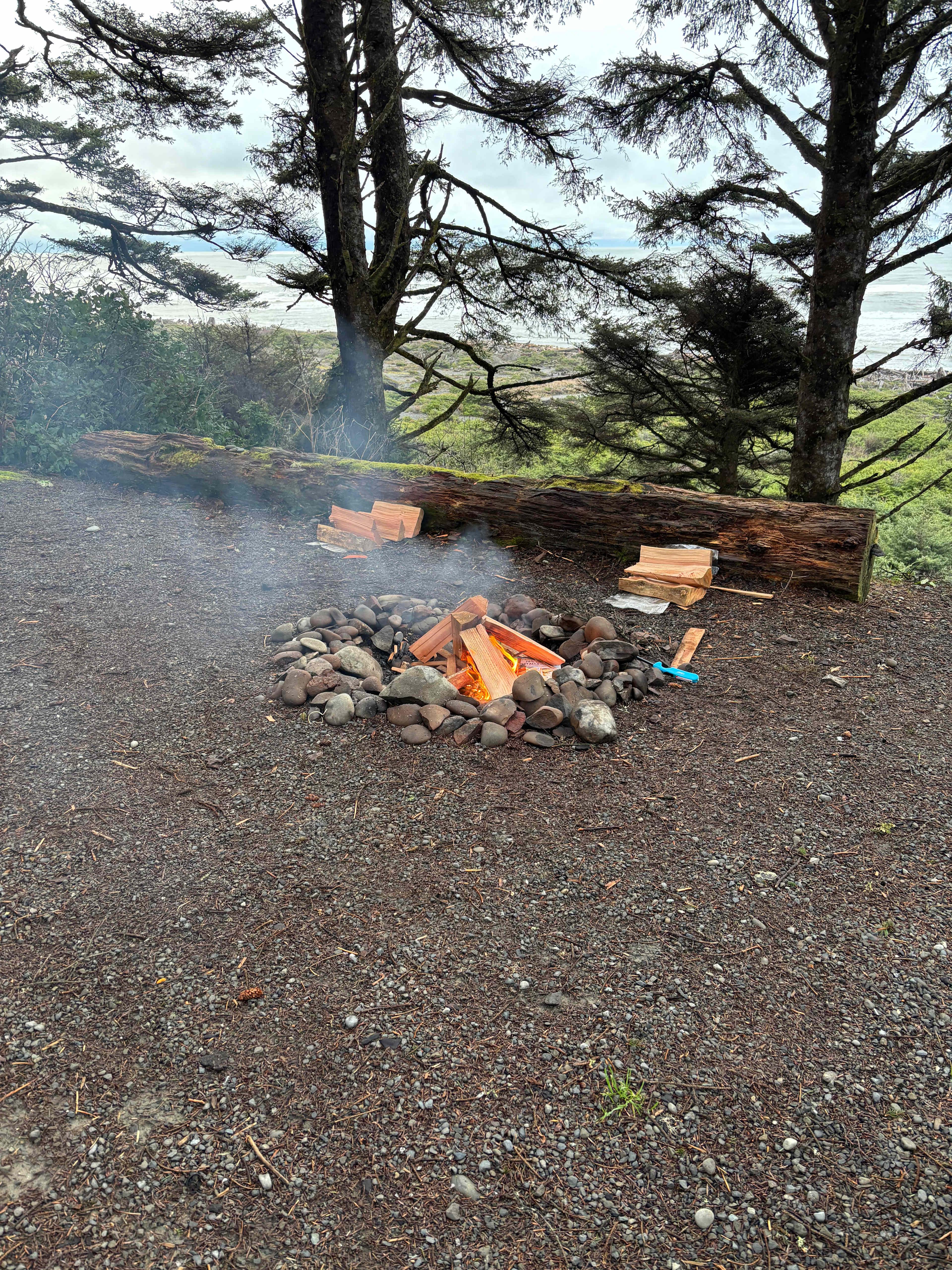 Wild WA Coast Lookout ($75 - $125)