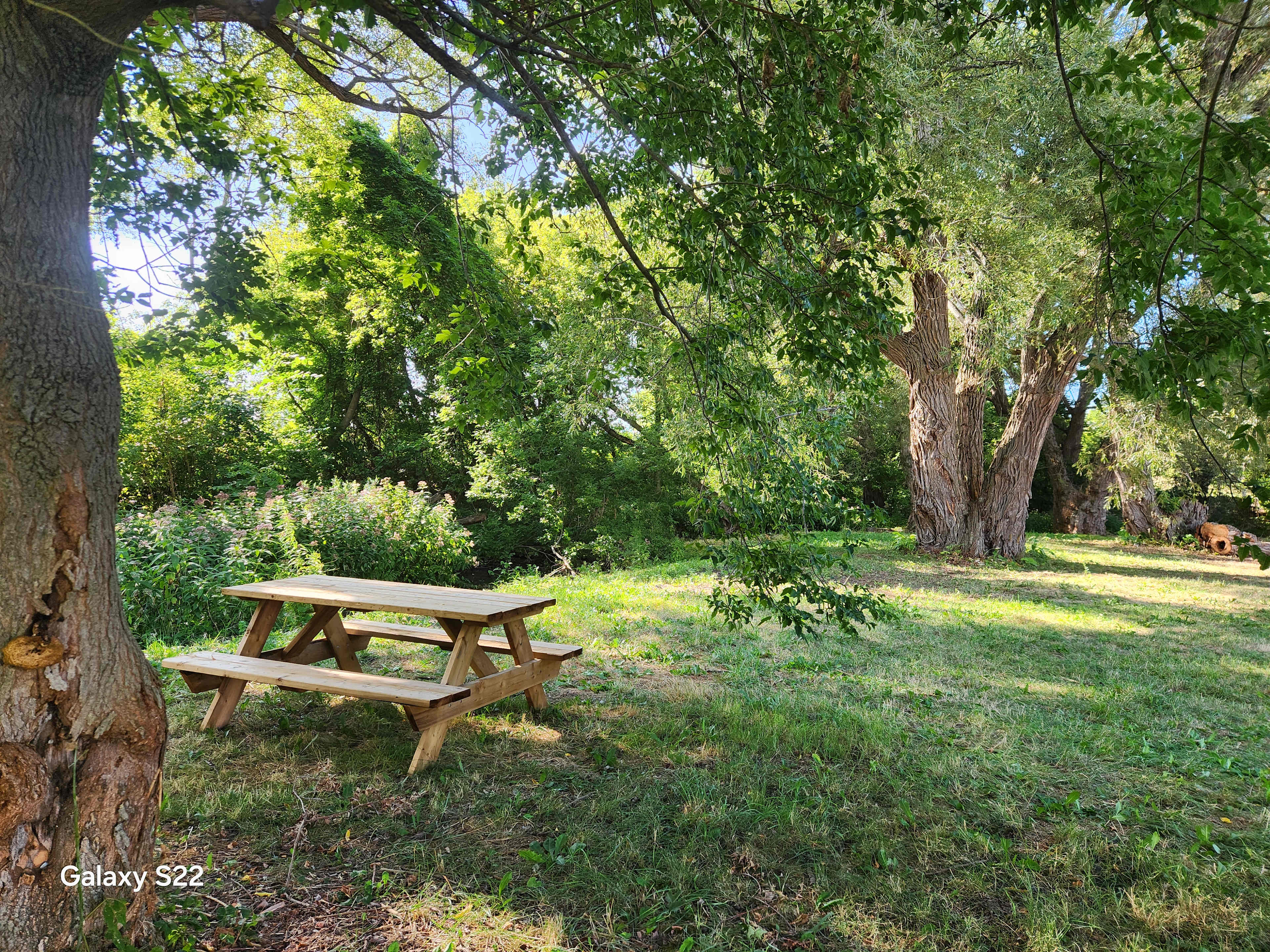 Picture of the site