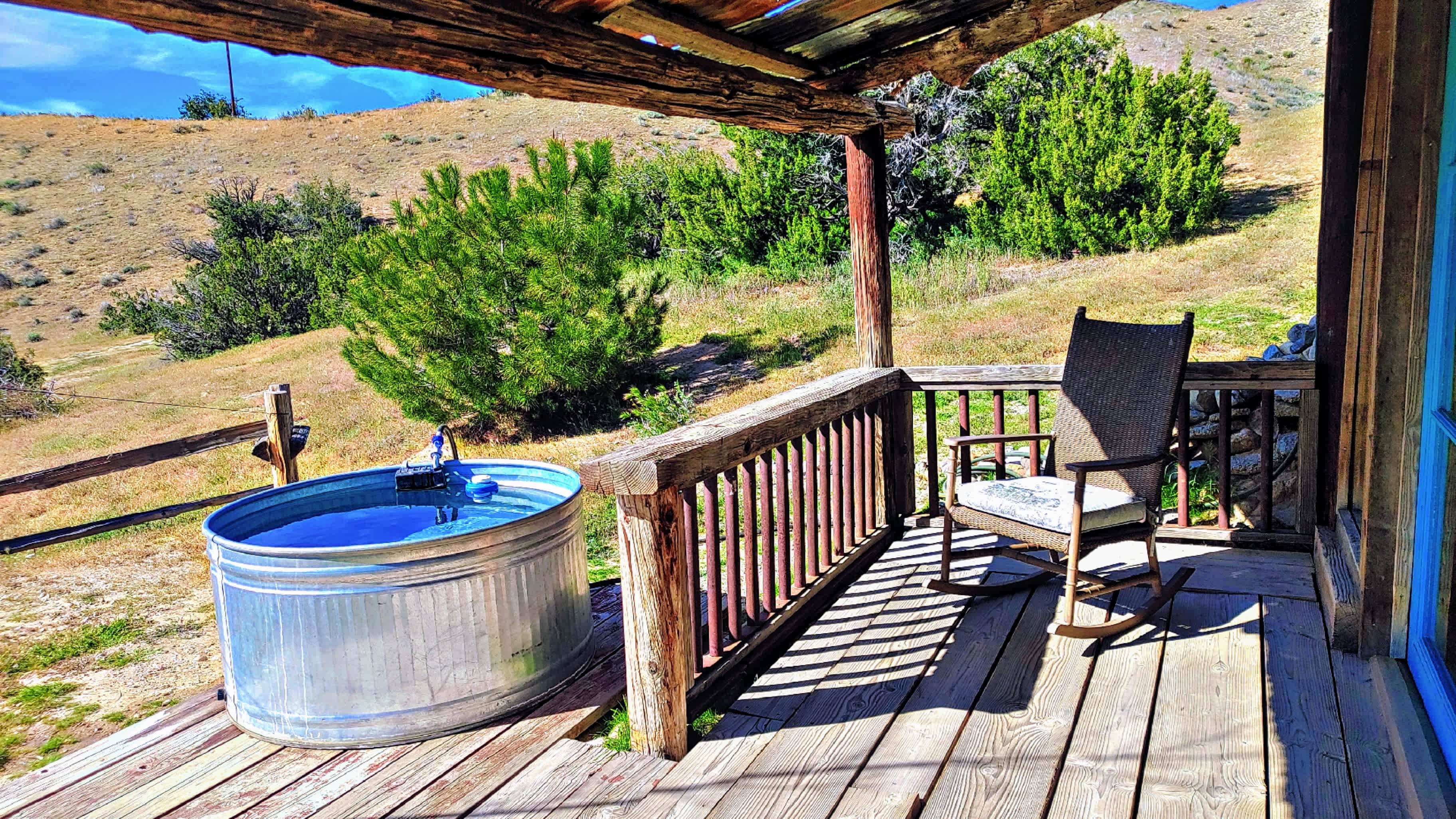 The morning spot watching the bunnies play.