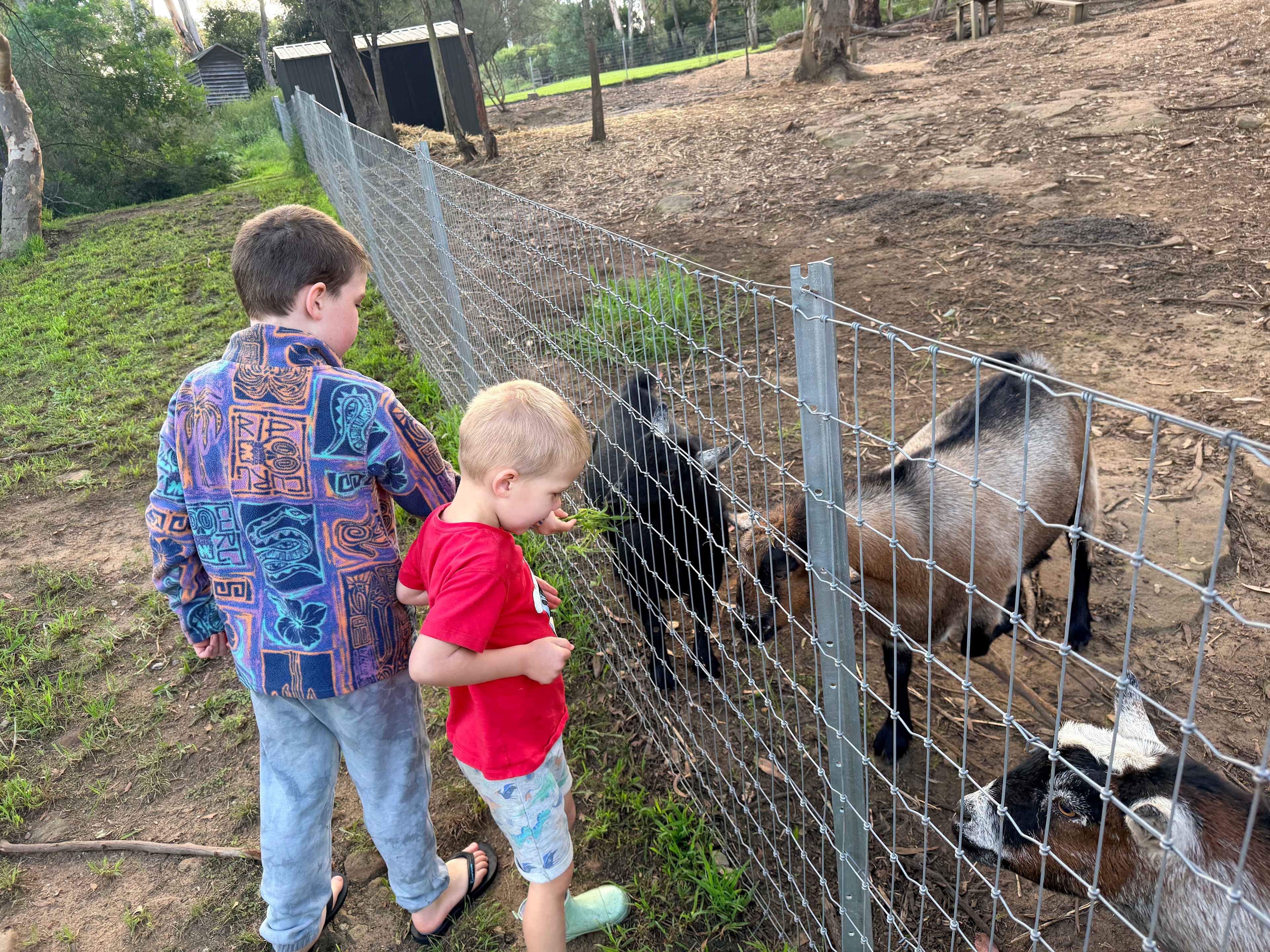 Rosewood Farm's Riverside Glamping