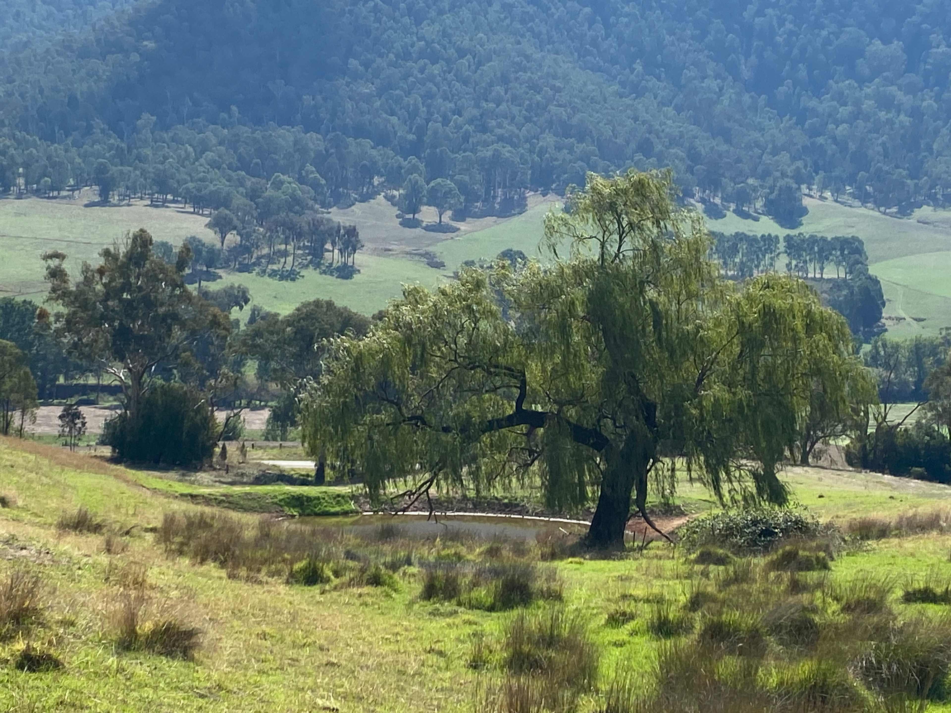 Wirreanda Park, Kancoona
