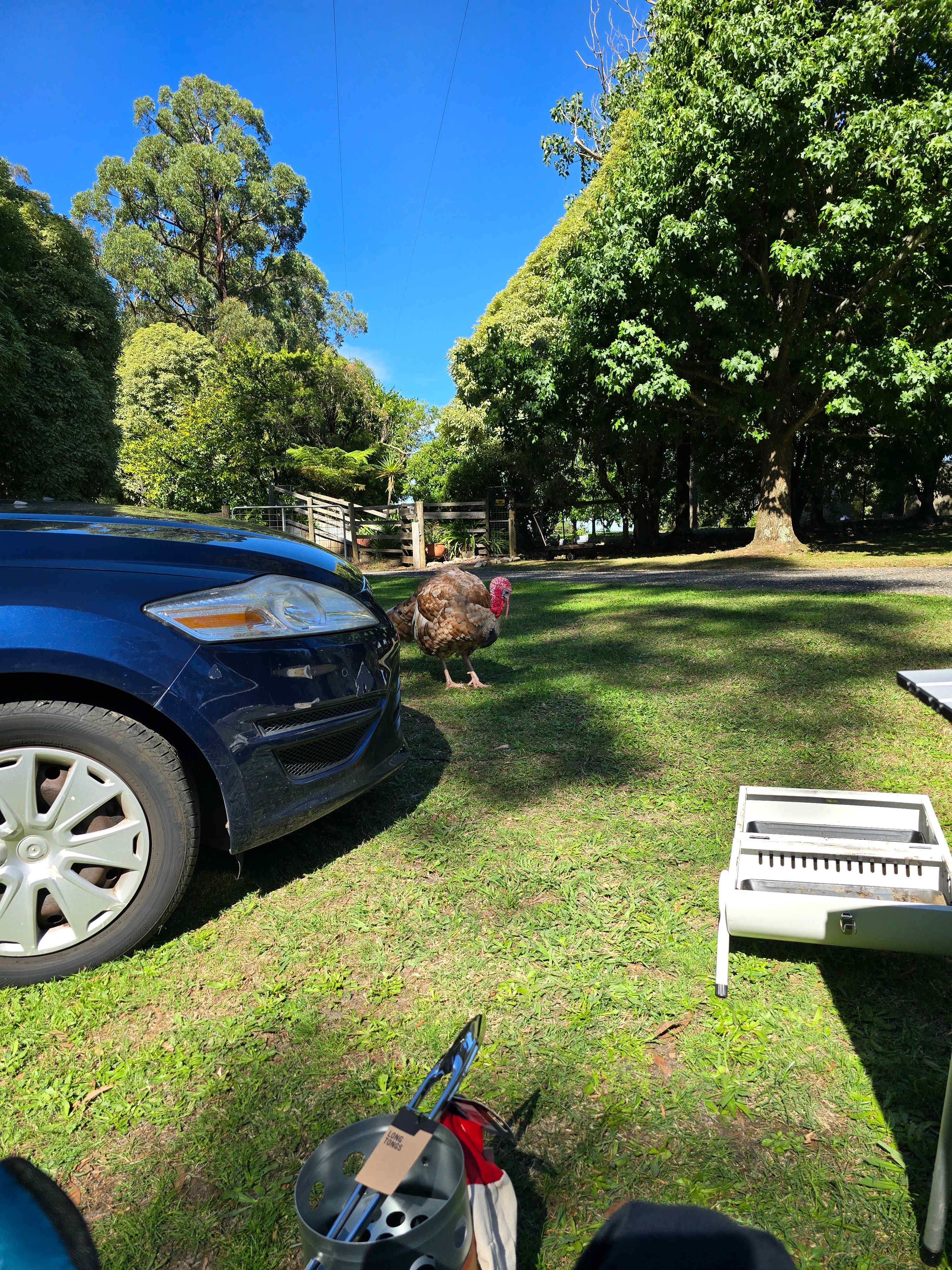 Millers Farm "The Hills are alive"