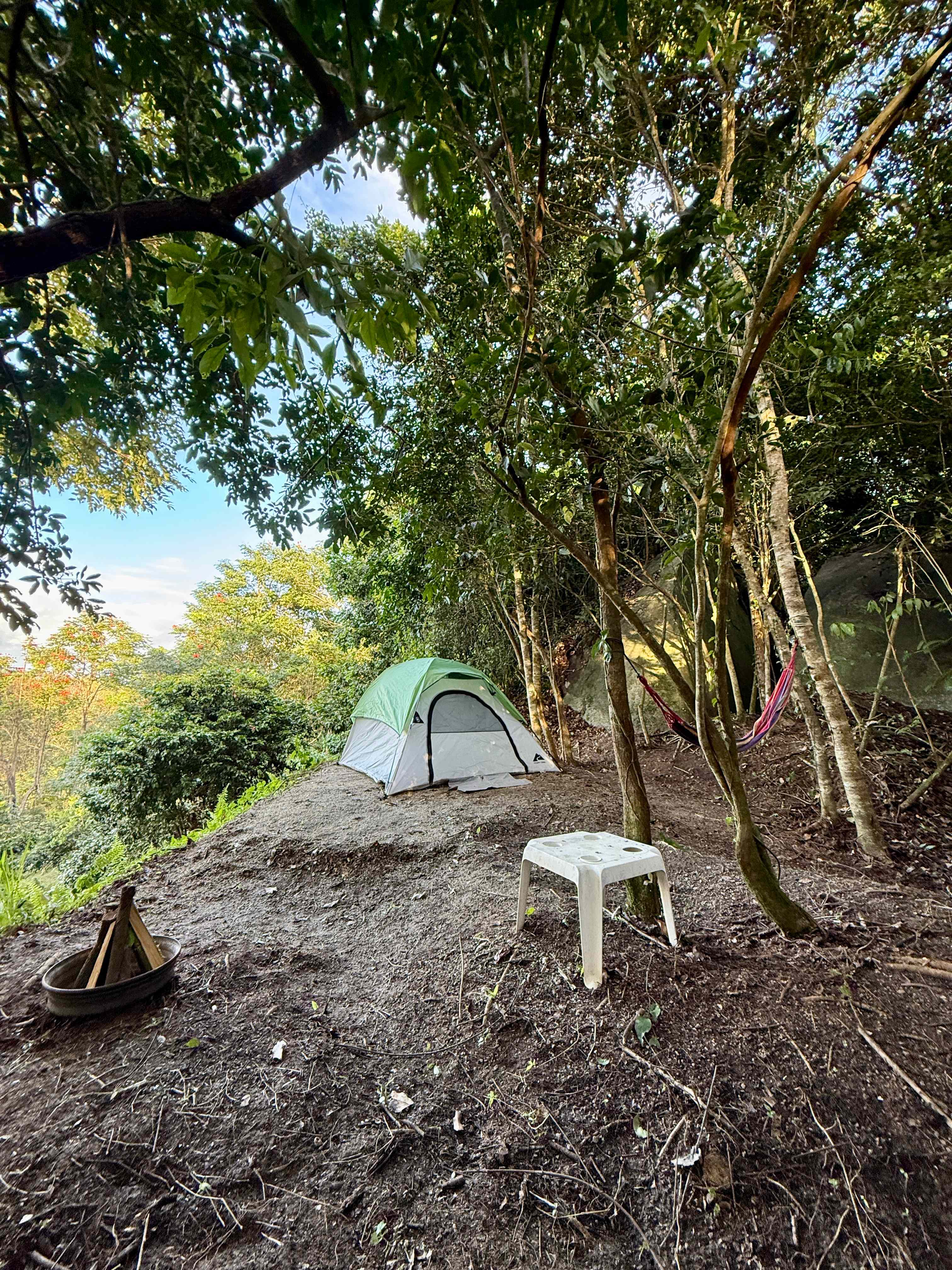 Picture of the site
