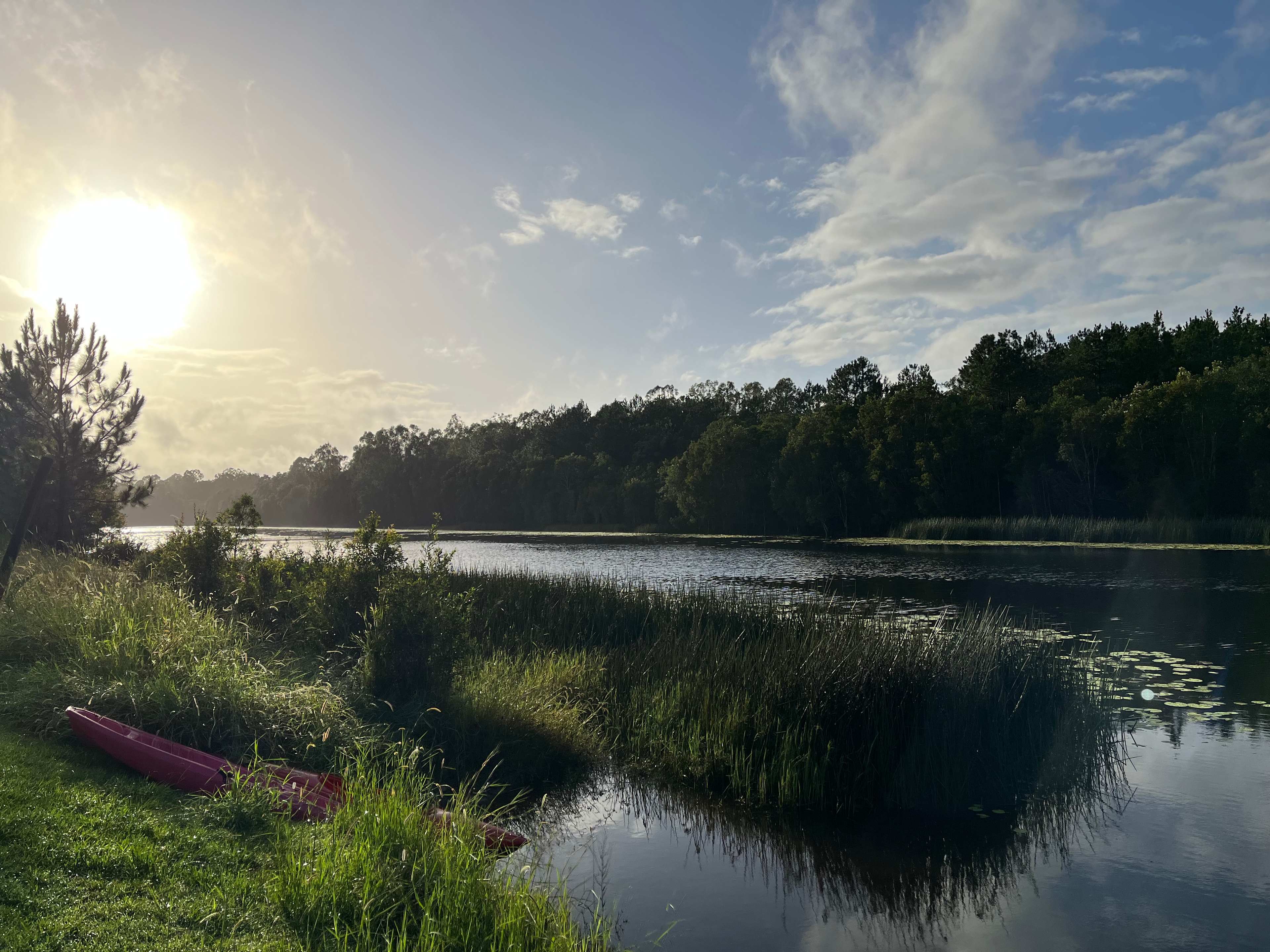 Bushywood at Woodfordskilake