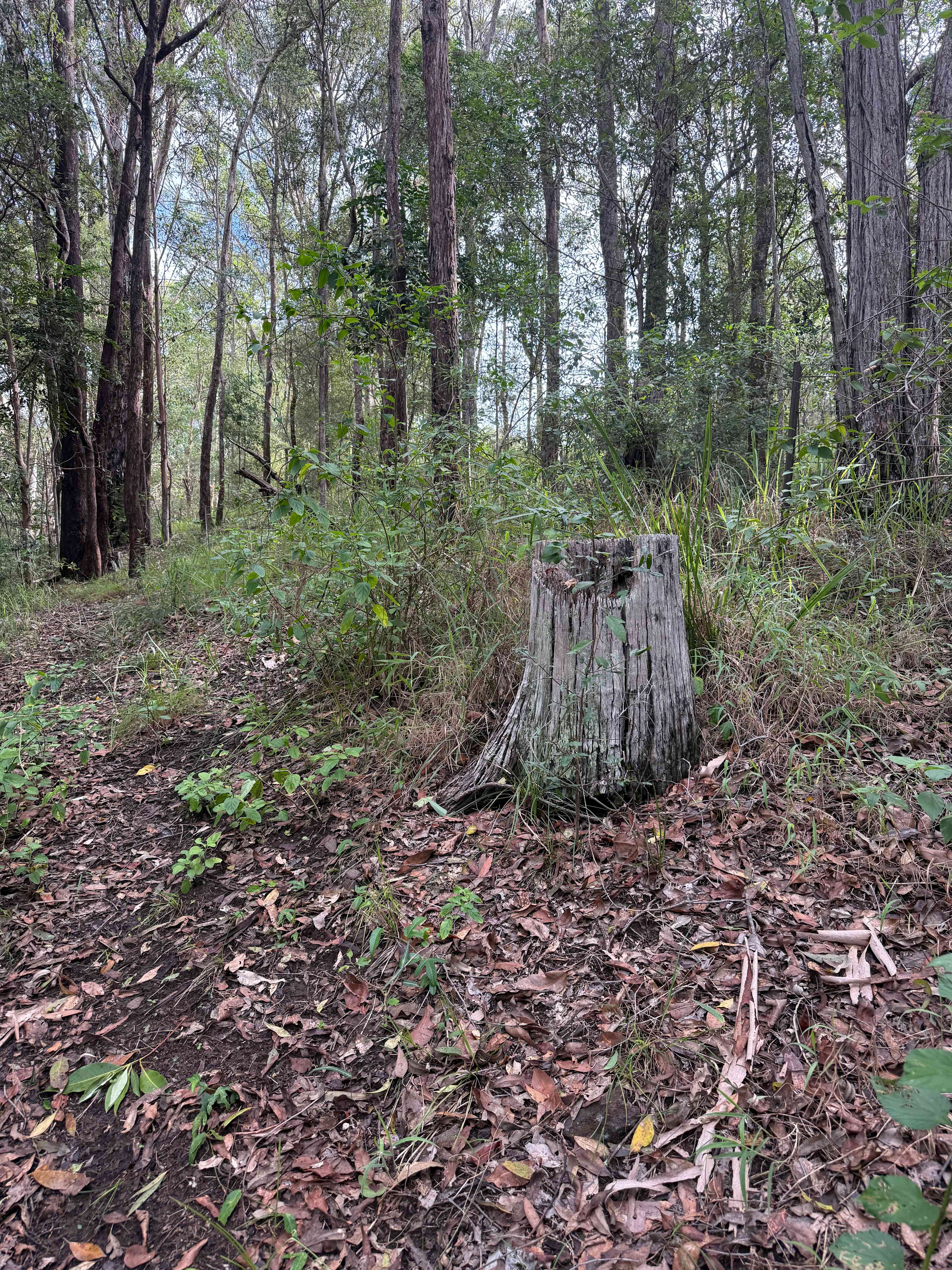 Hunchy Hills 4WD Bush Camping