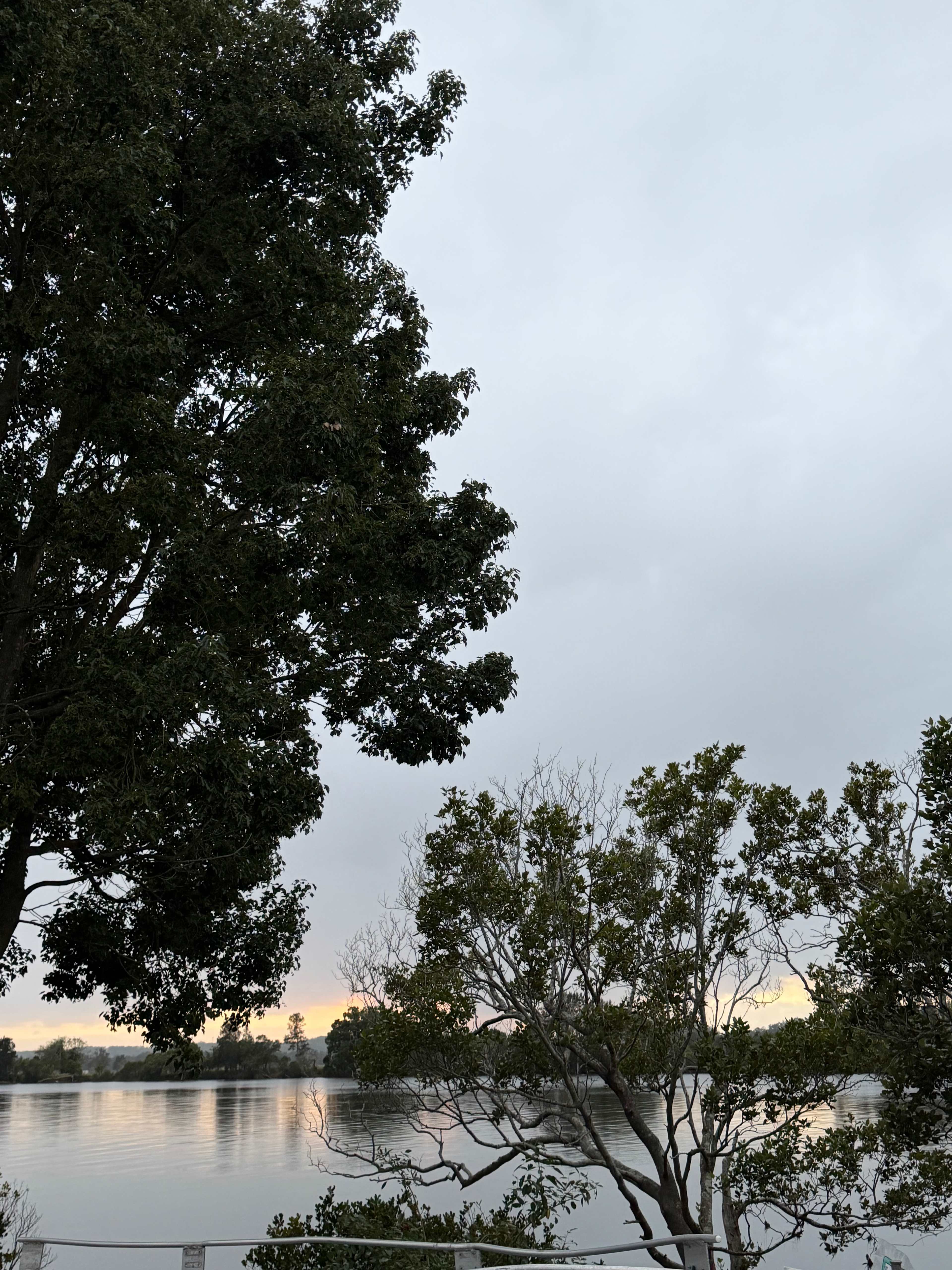 Manning River Waterfront Camping