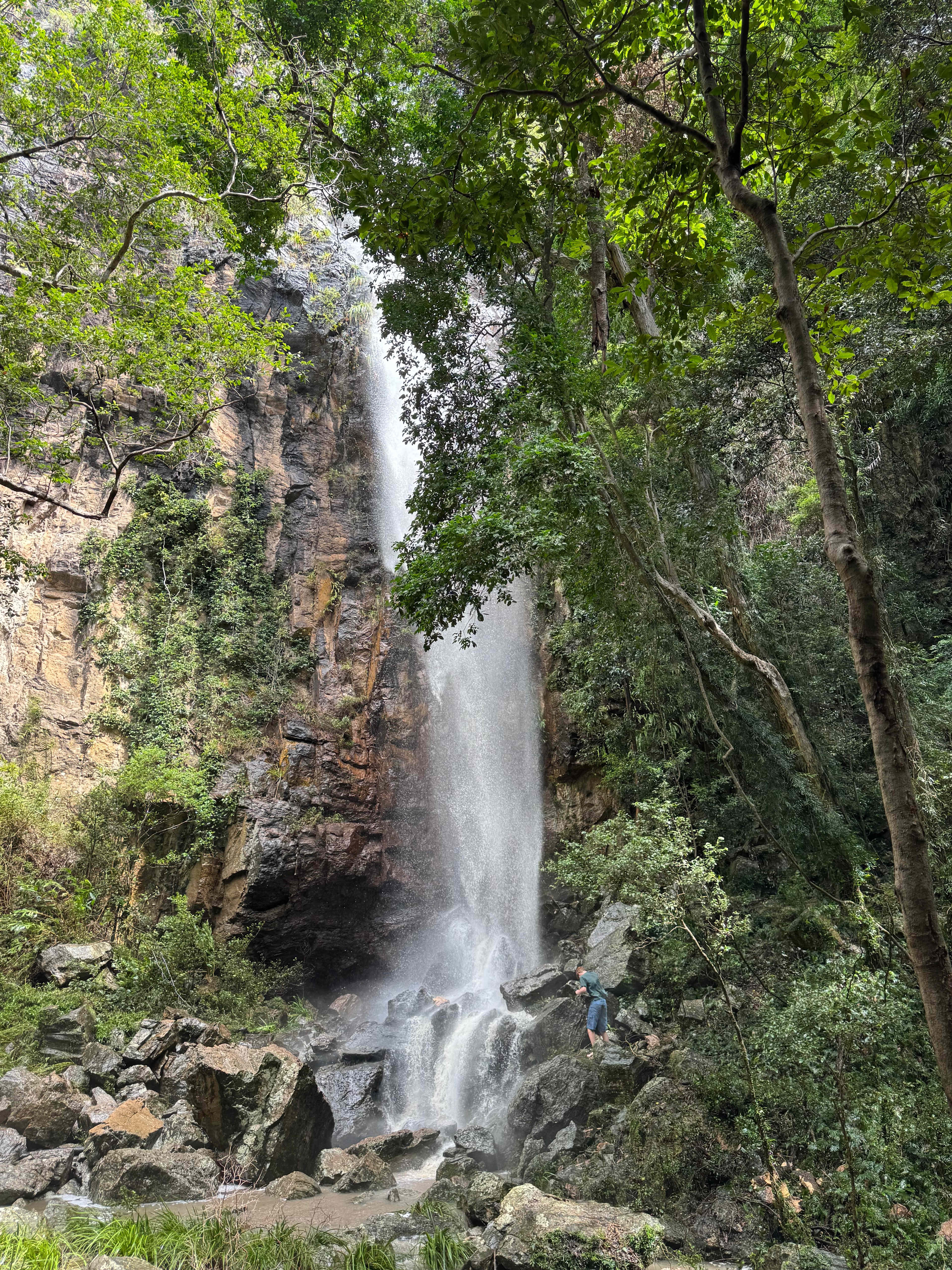 Hopevale Adventure Camping