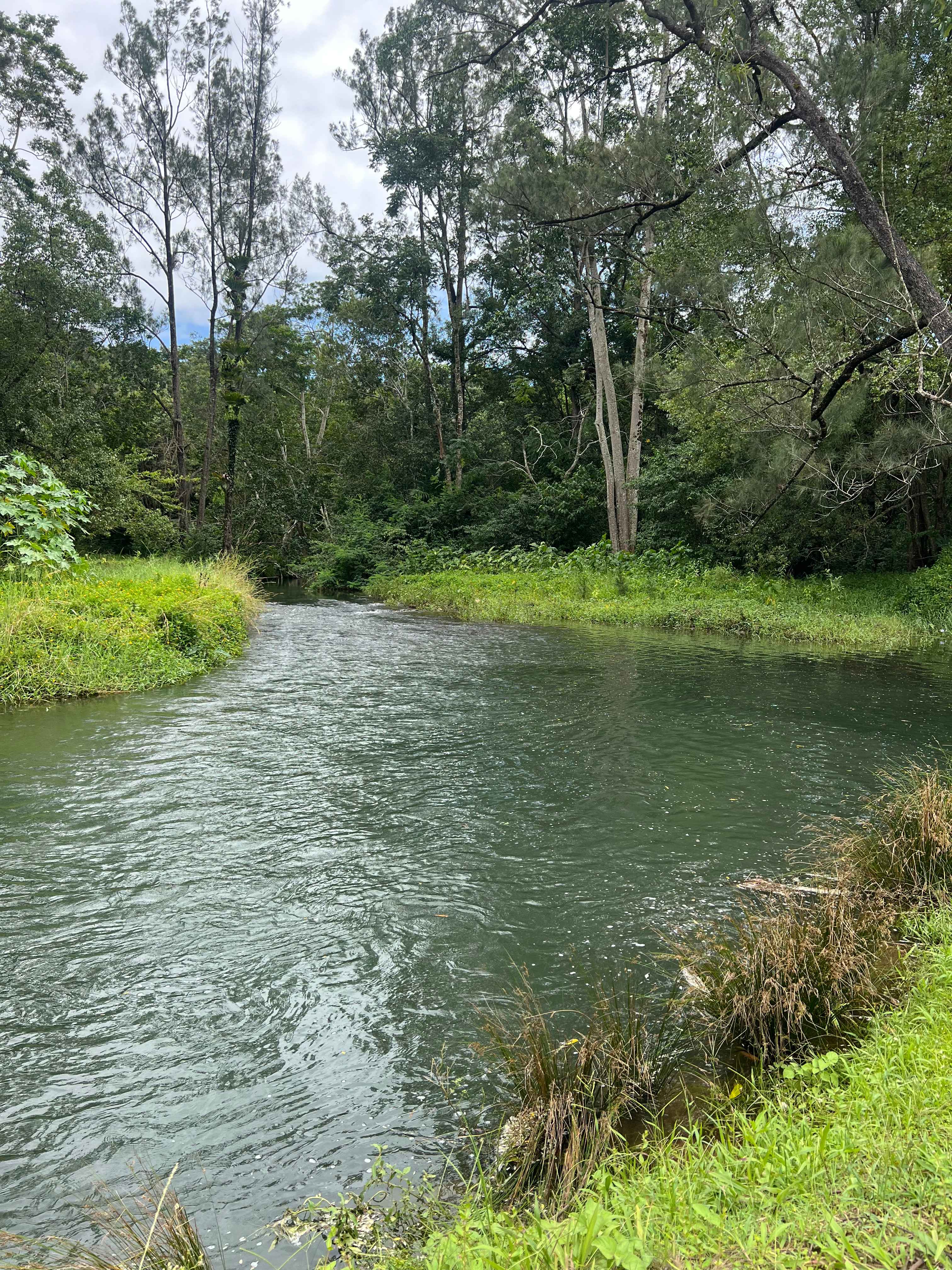 Crystal Creek Springs