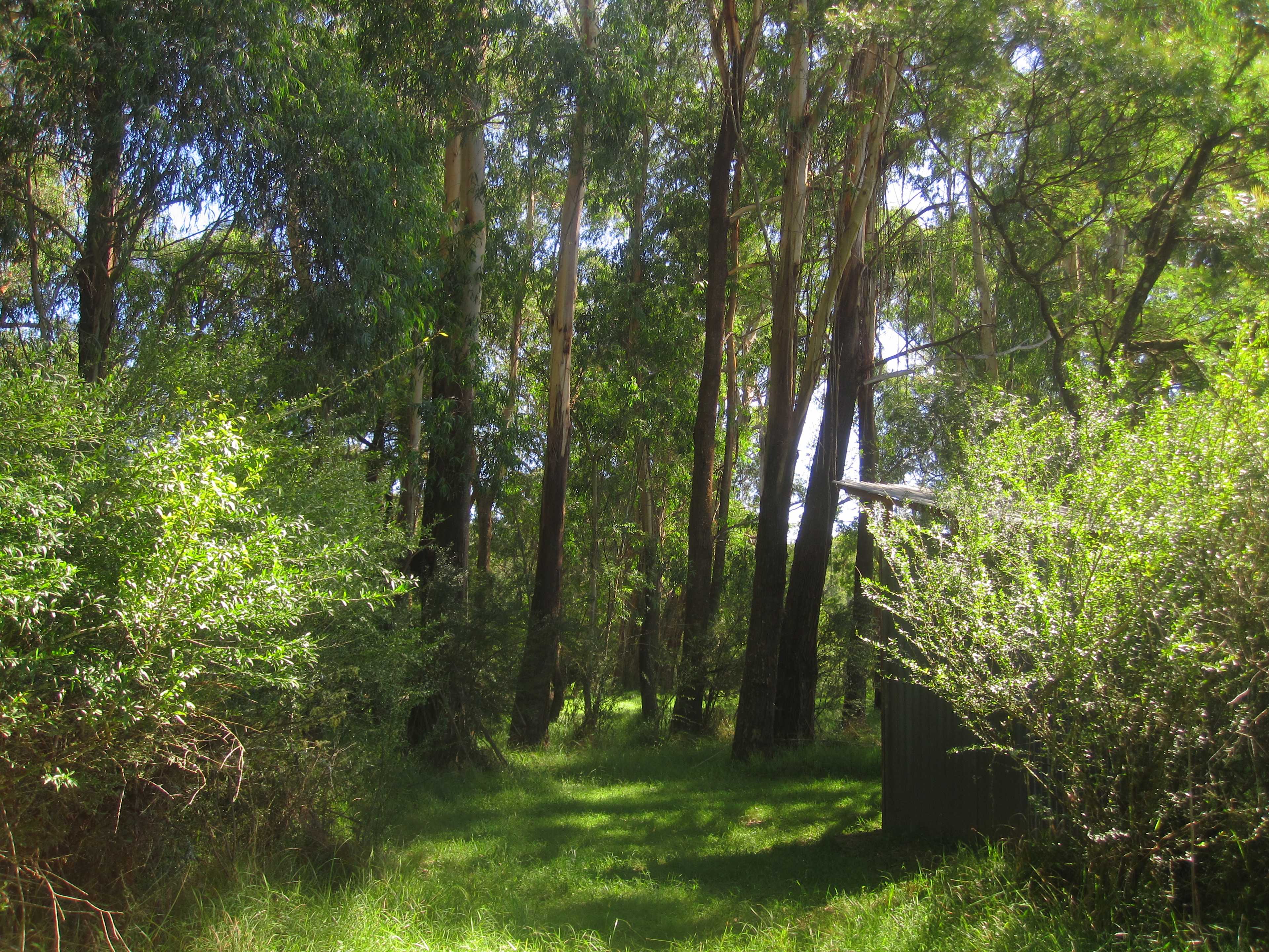 Brooman, on the Clyde River