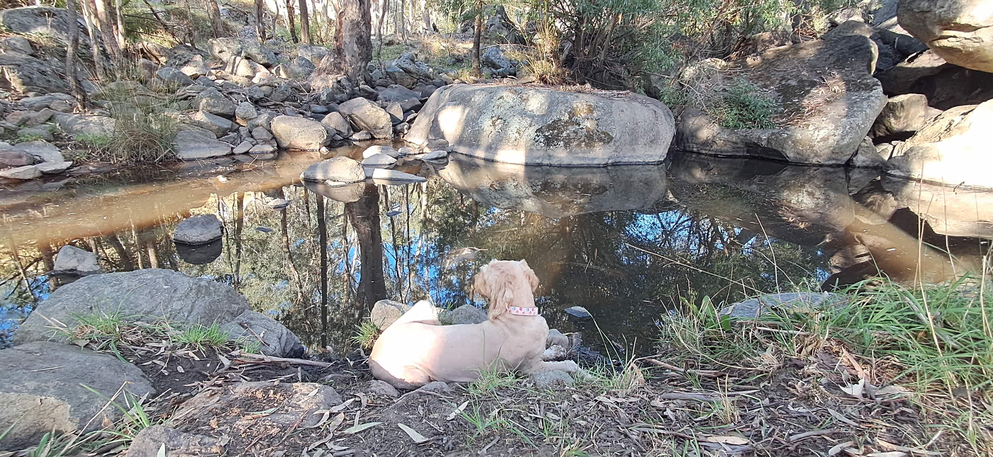 Glenmaye Farm – Creekside Camping