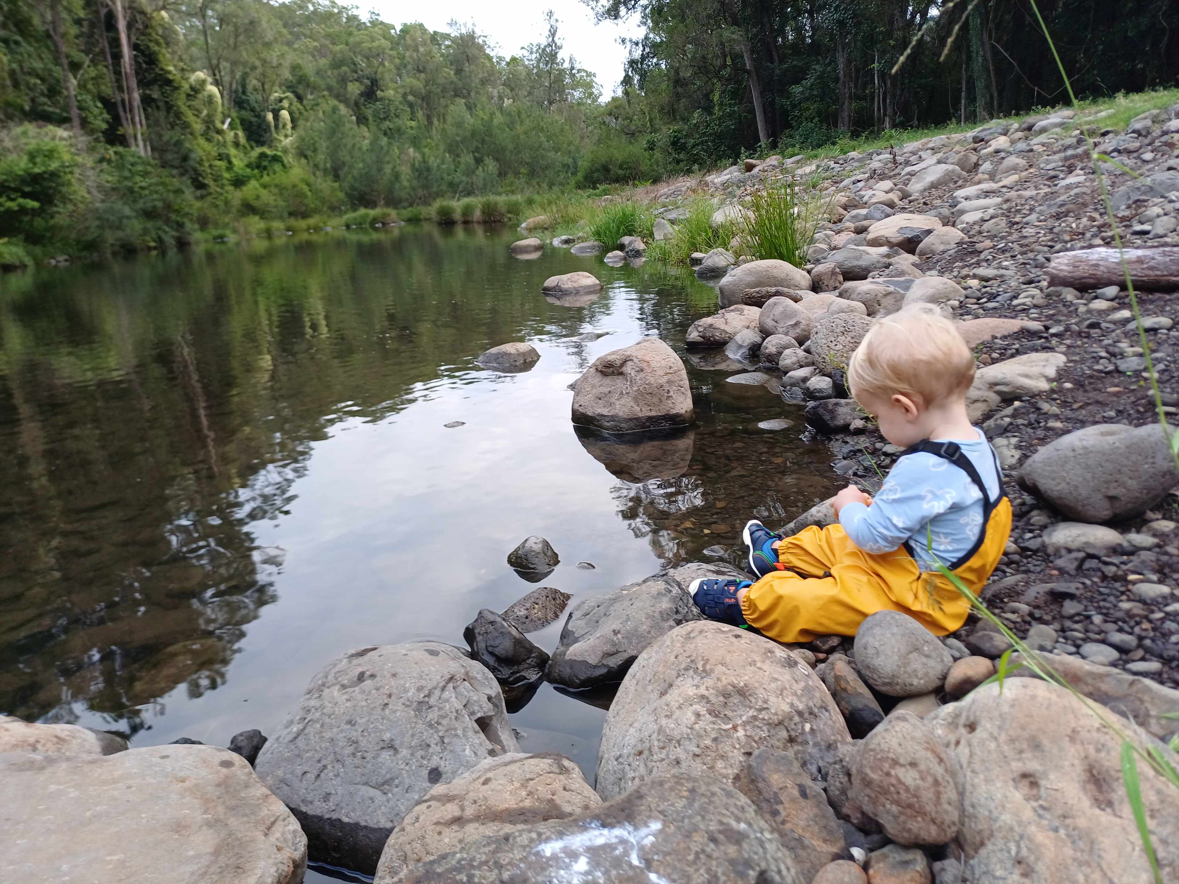 Sarabah Creek Camping