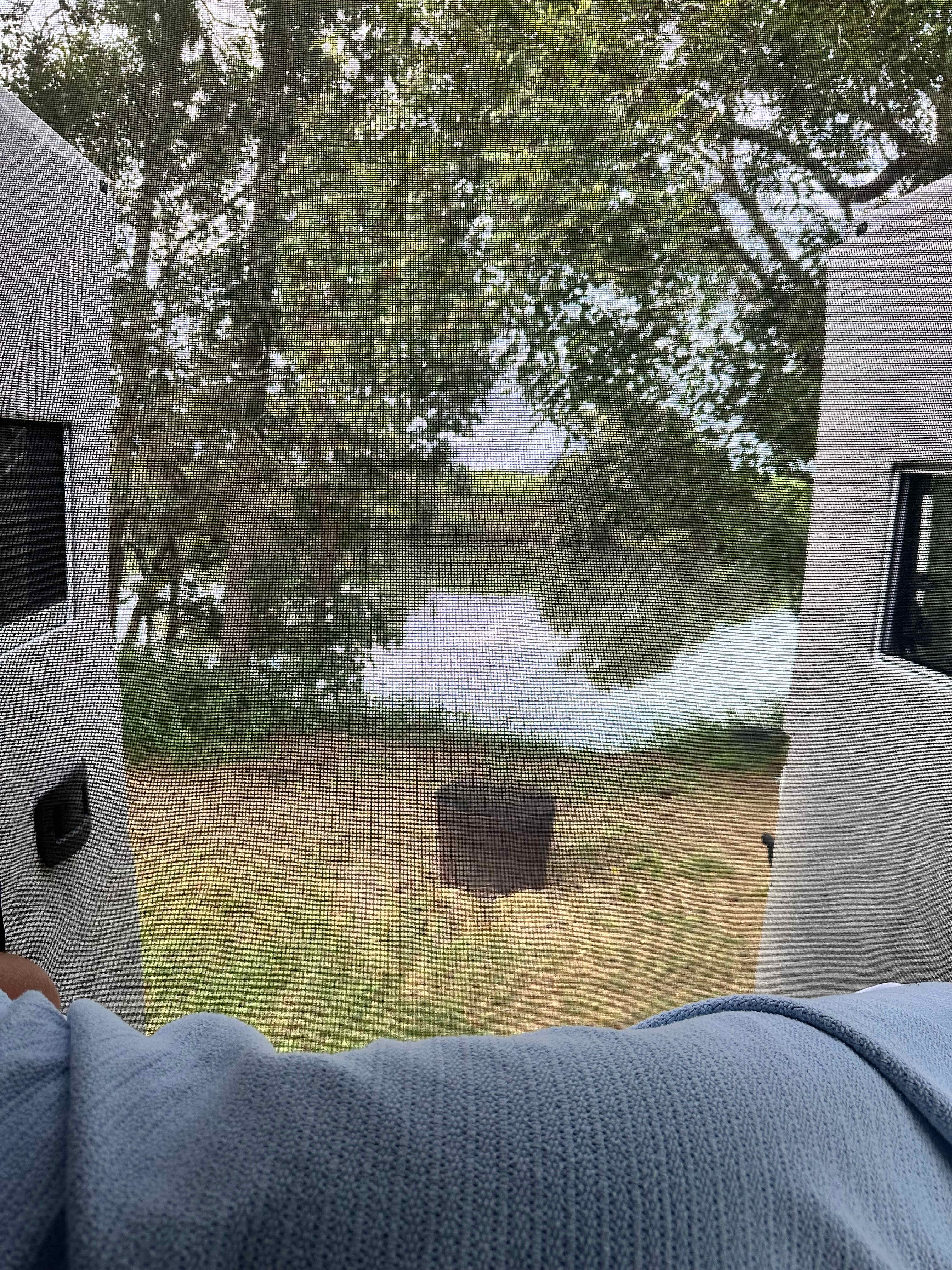 Morning view out to river