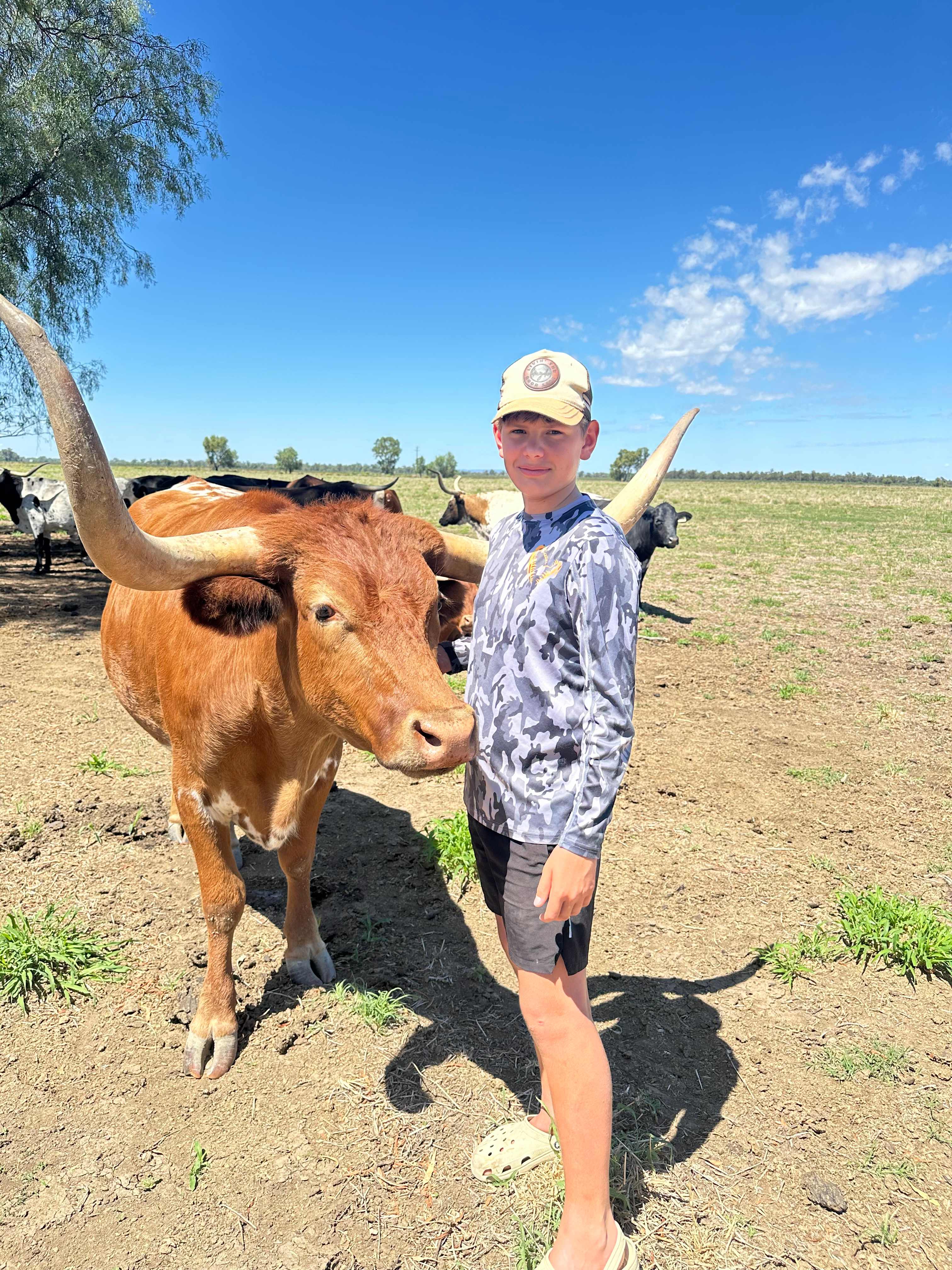 Pringy's Farm Balnagask