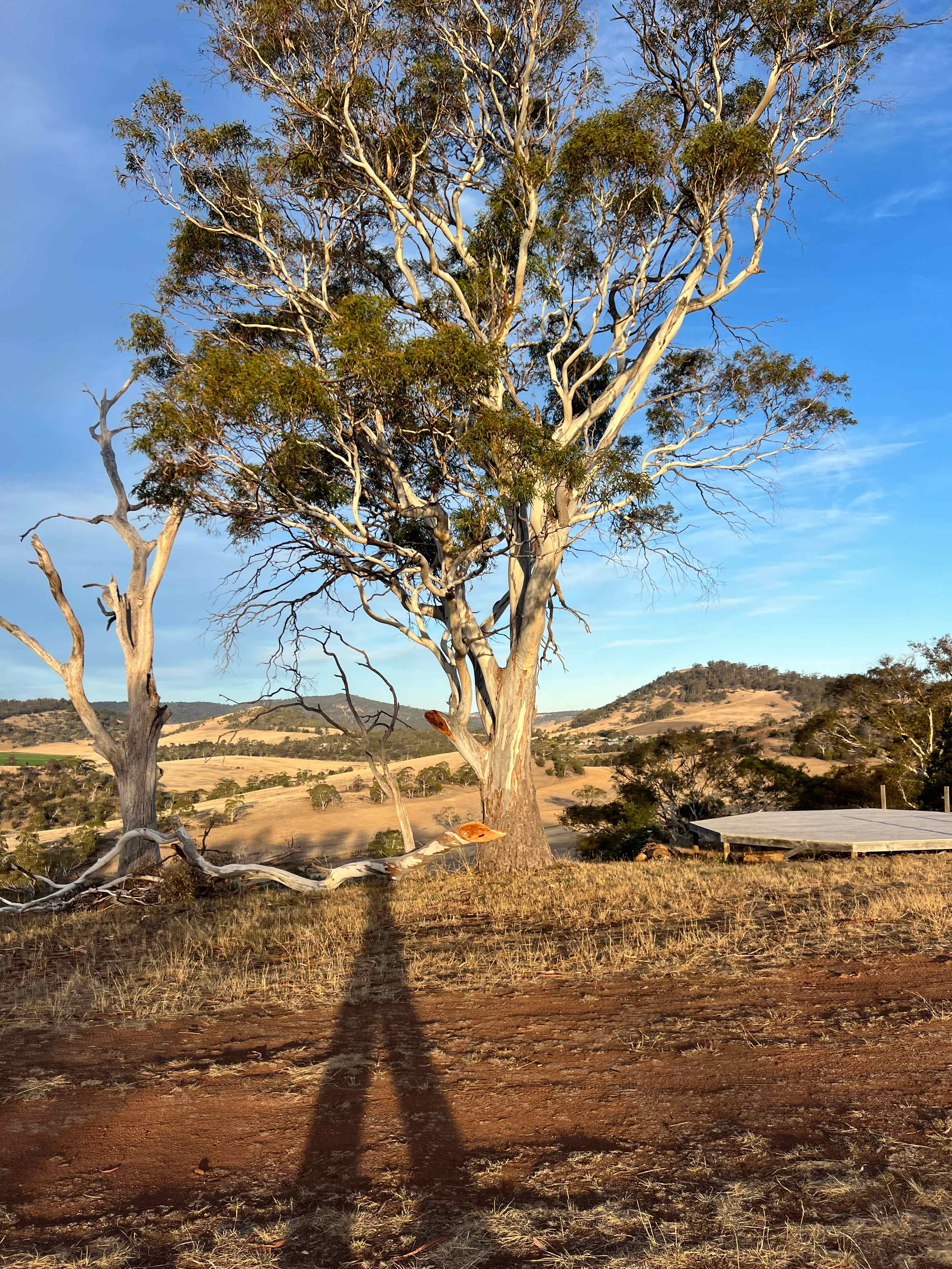 Prossers Ridge Richmond