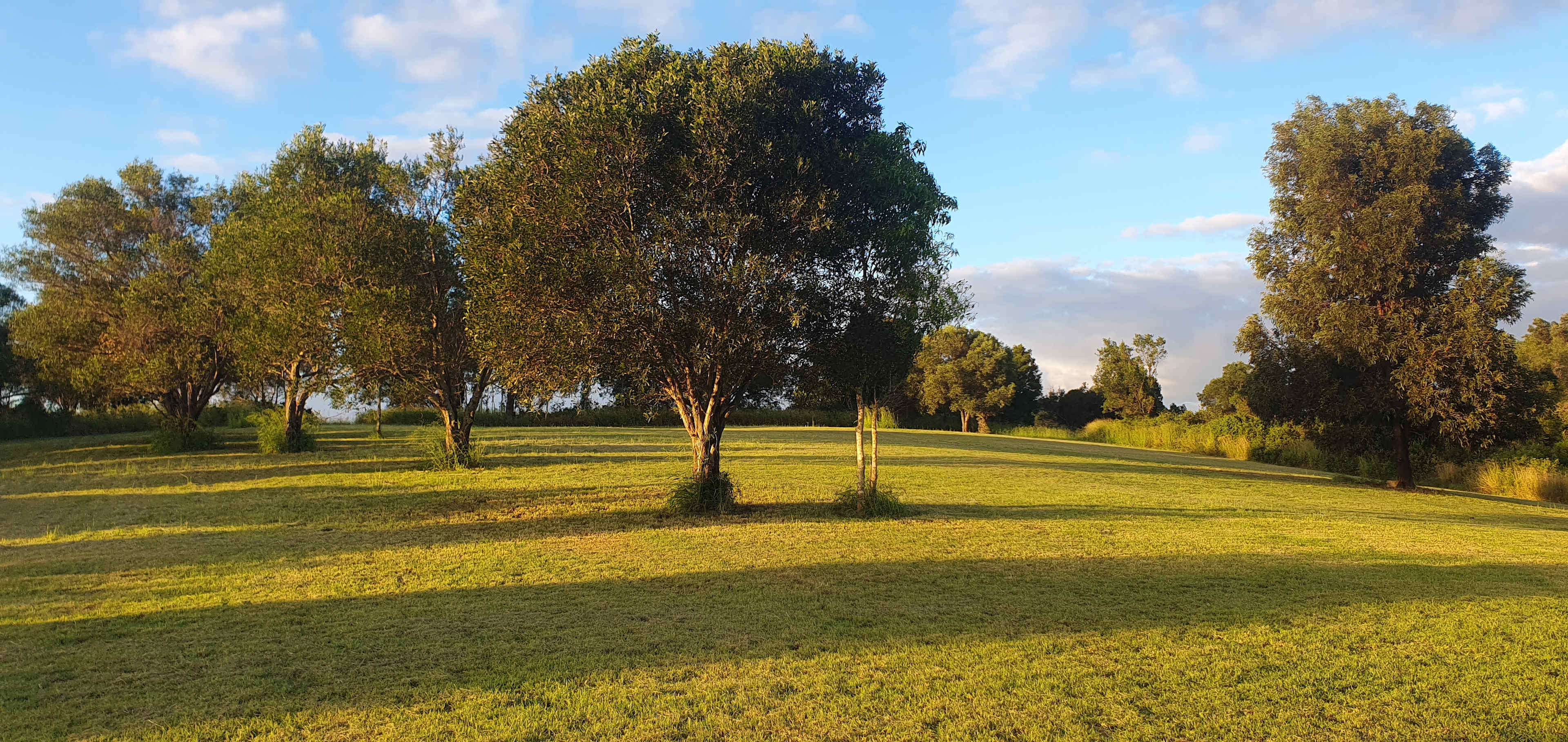 Foggy Lookout Wellness Retreat