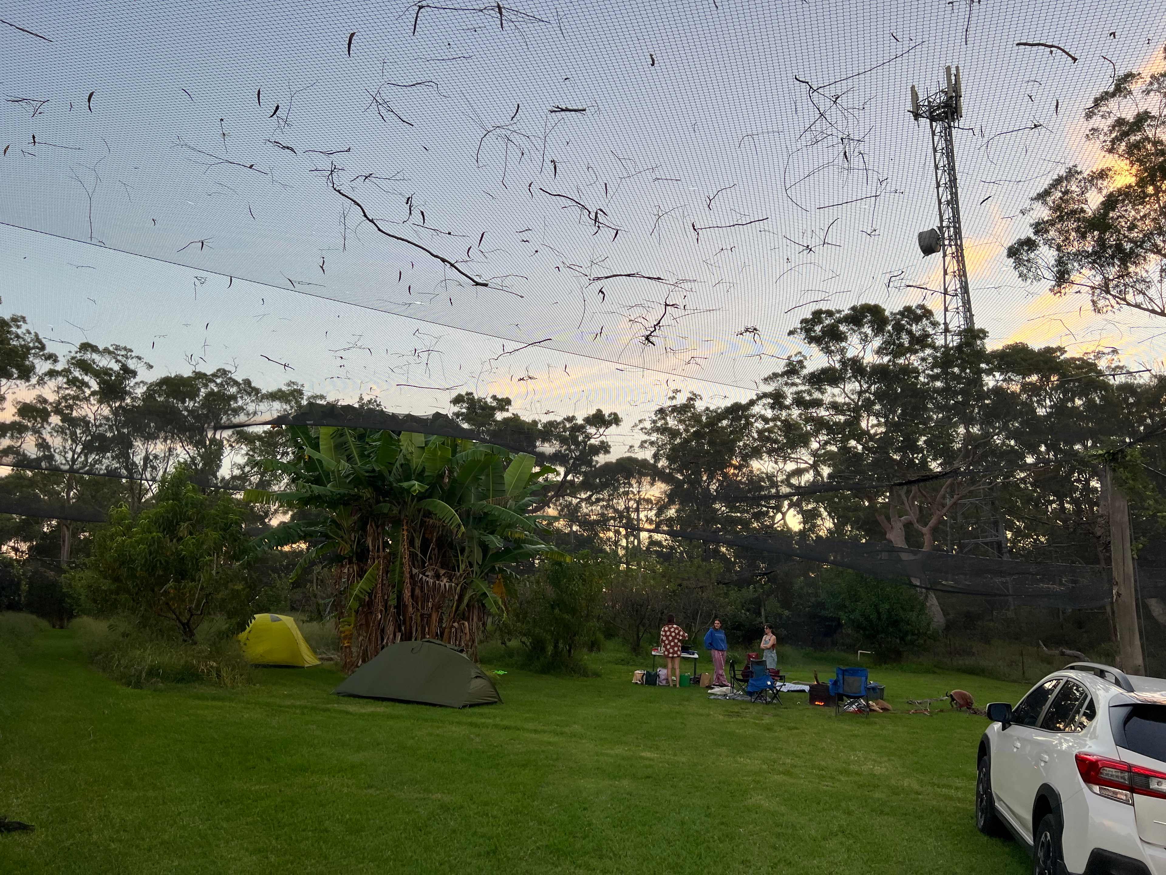 Canoelands Orchard Camping