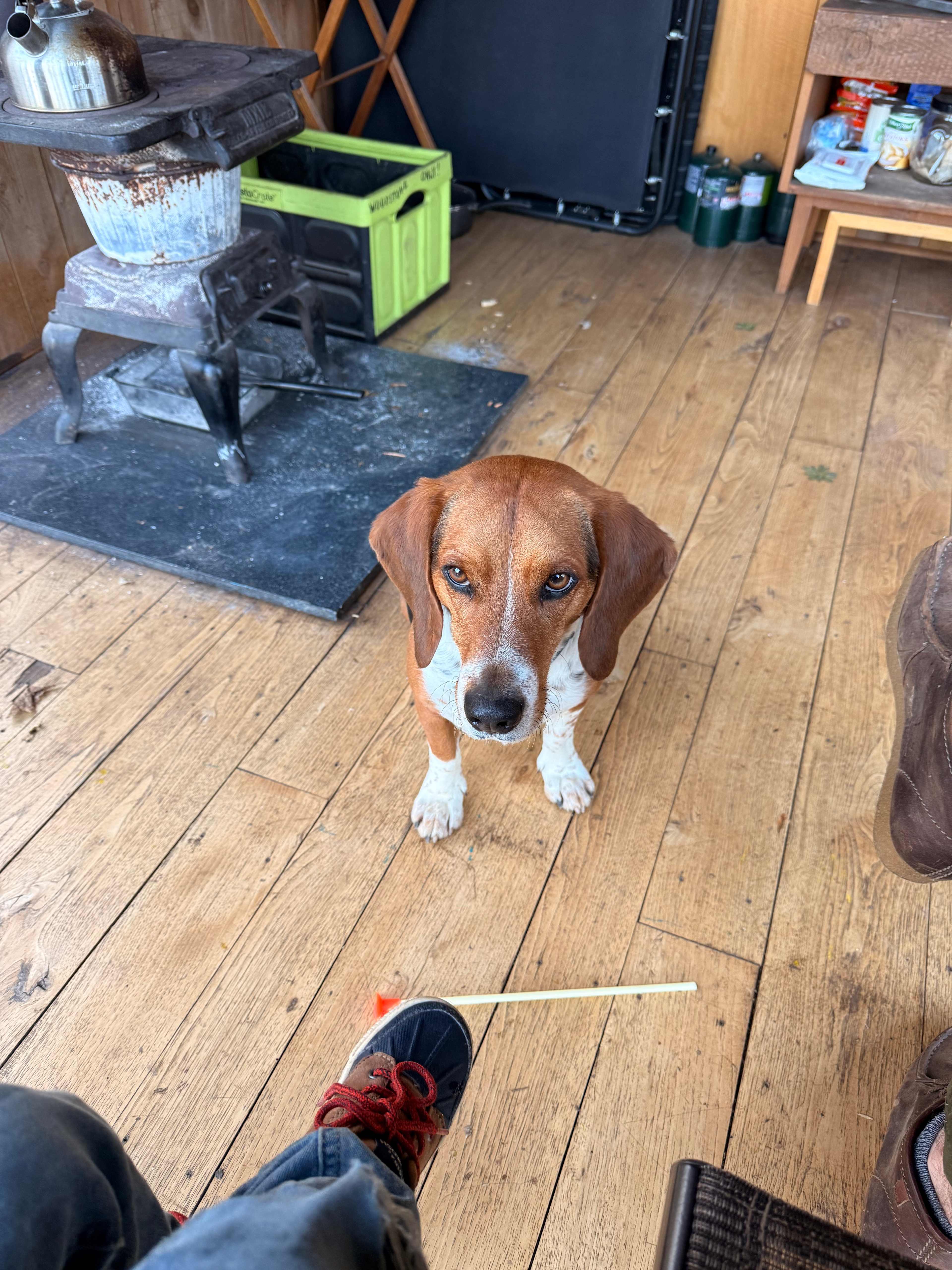 Beech Hollow Hideout