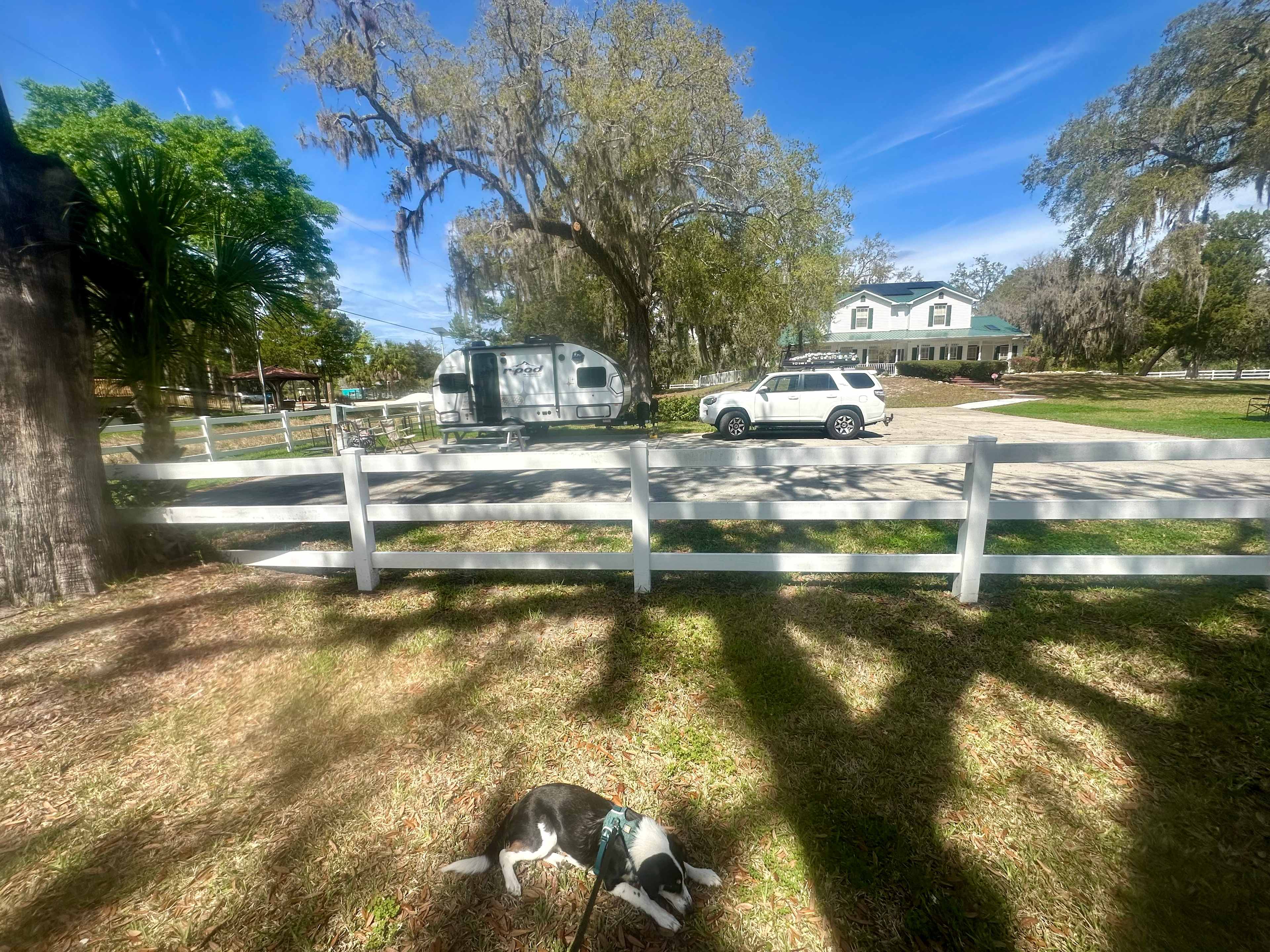 Jacob Tree RV Parking