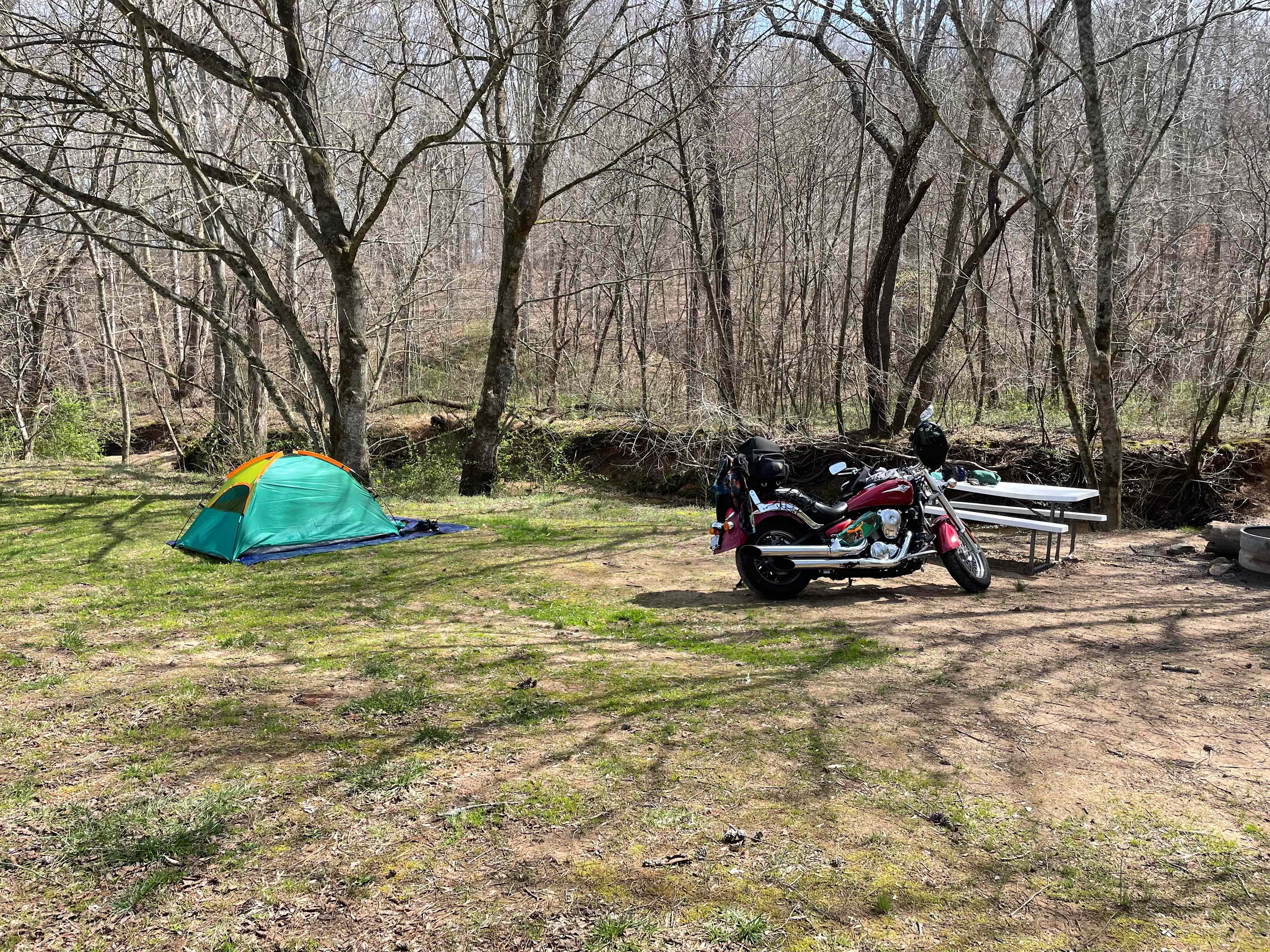 The Oasis at Harmon Creek Farms