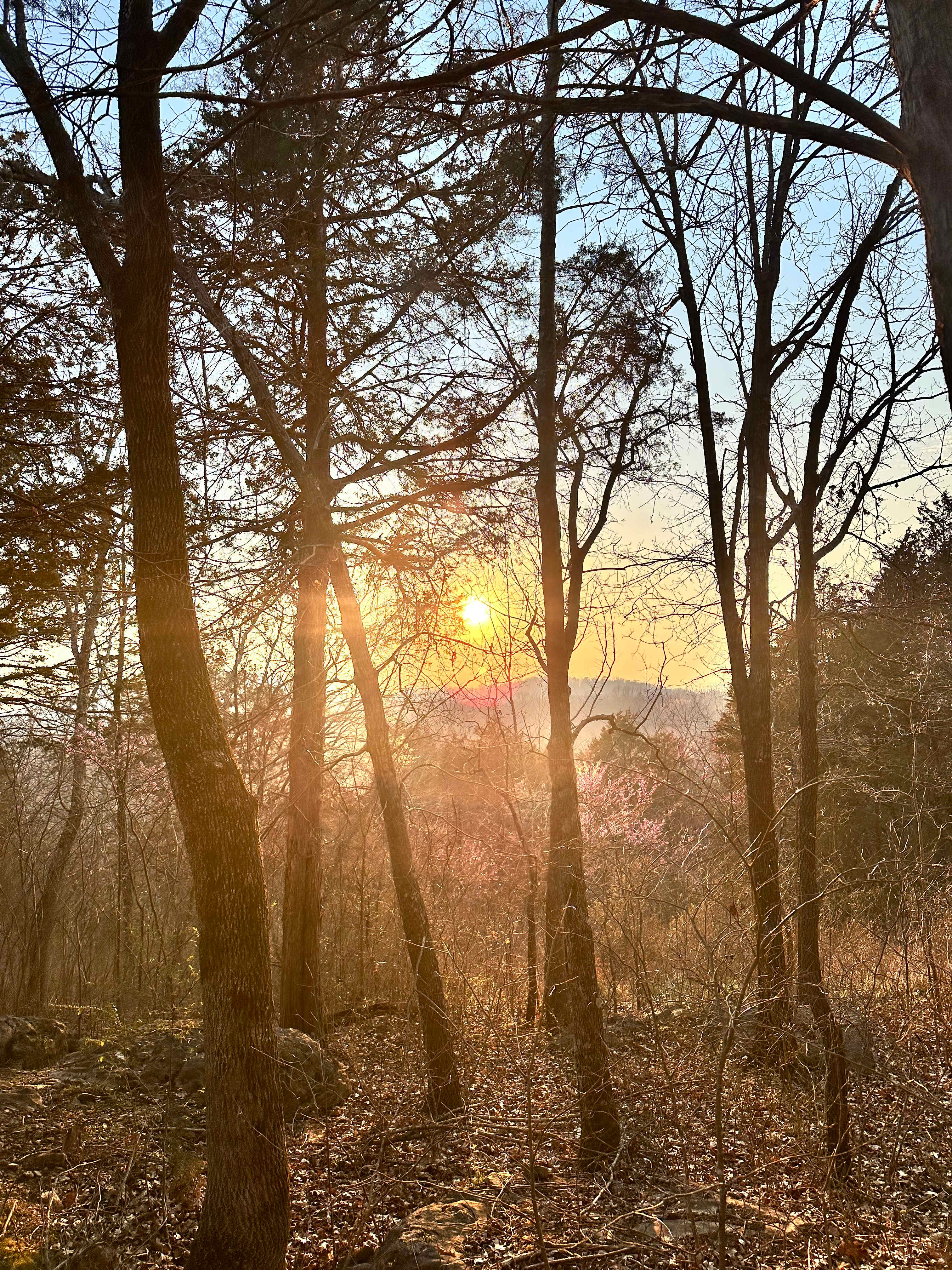Open-air Meditation Sanctuary