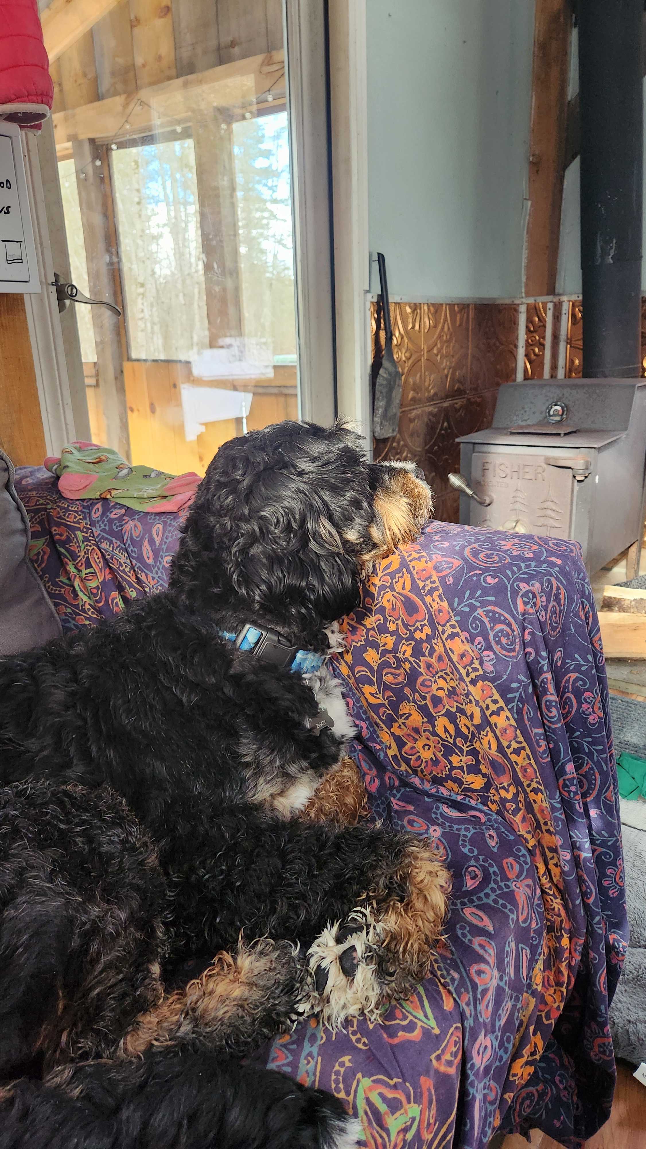 Raven's Rest Tiny Cabin