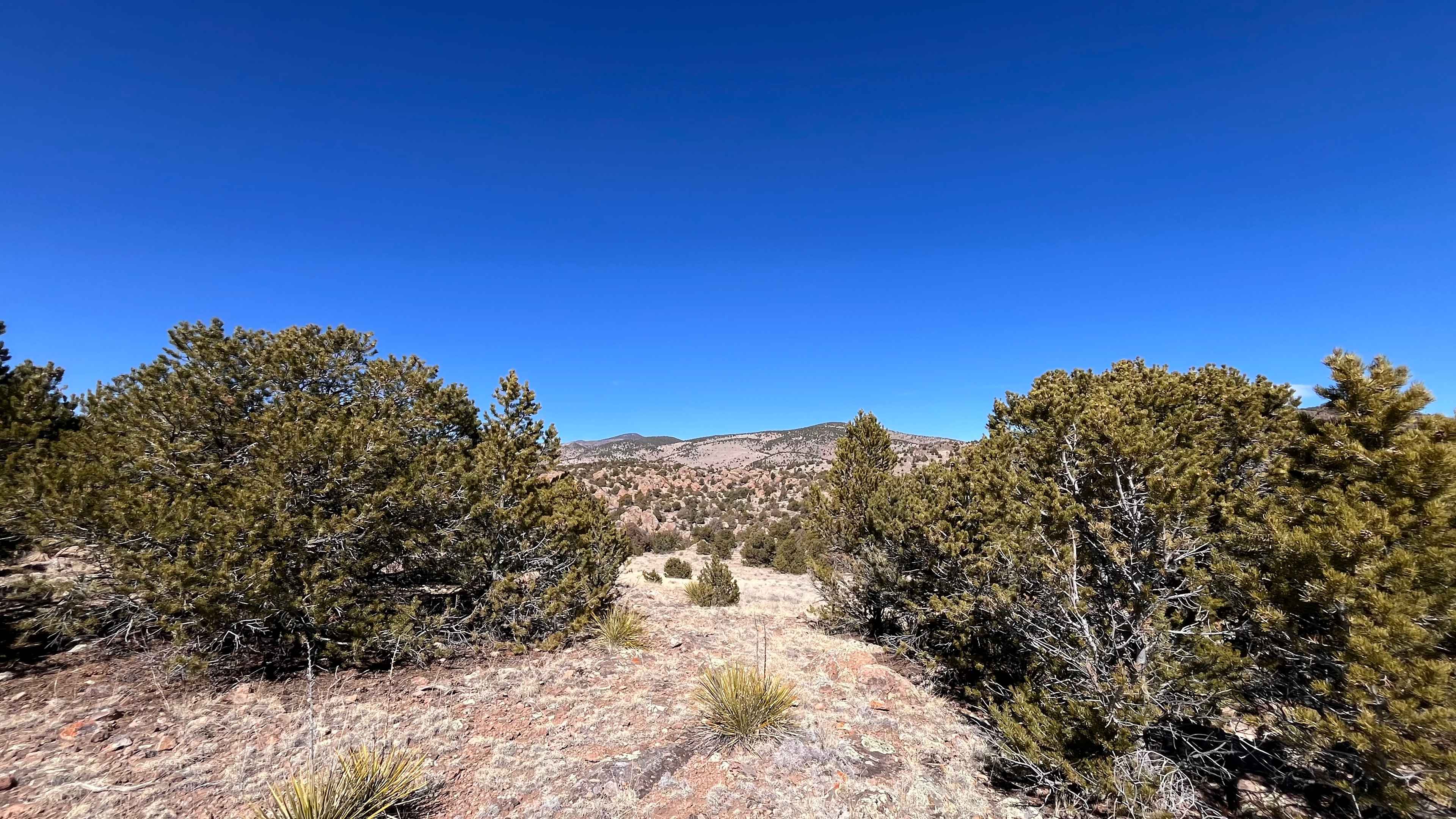 Tin Can Camp: Adventure Base