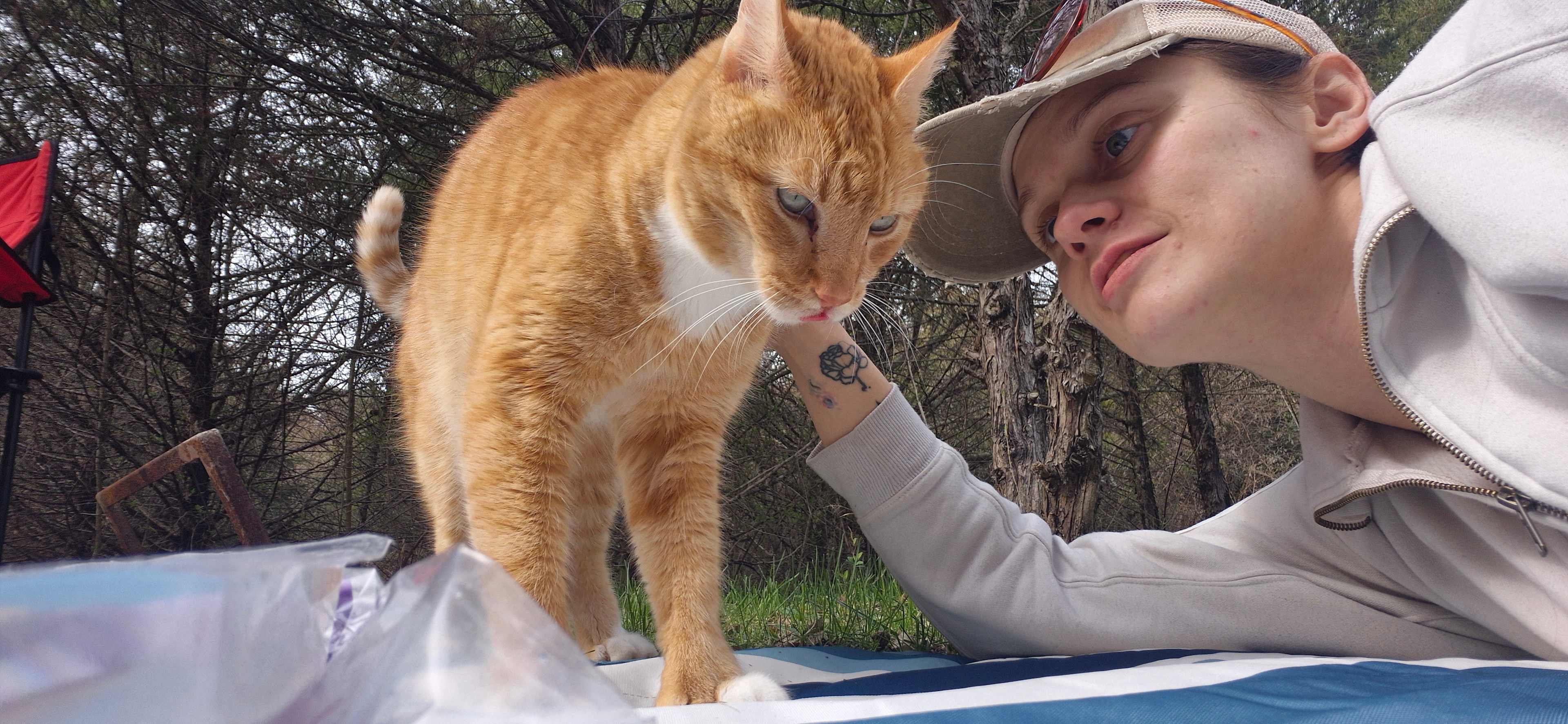 Tange the farm kitty