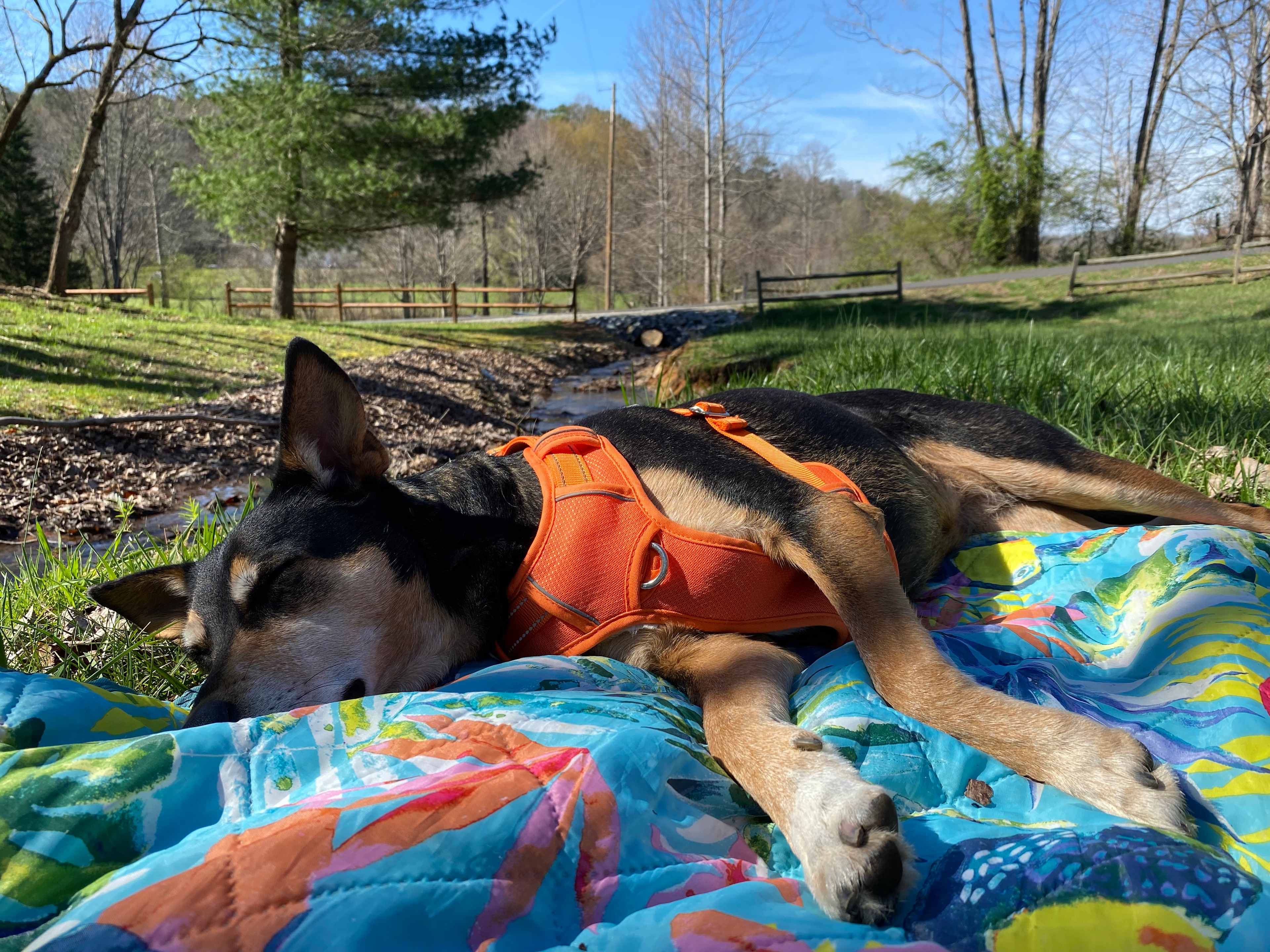 The Ridge at Stanley Gap