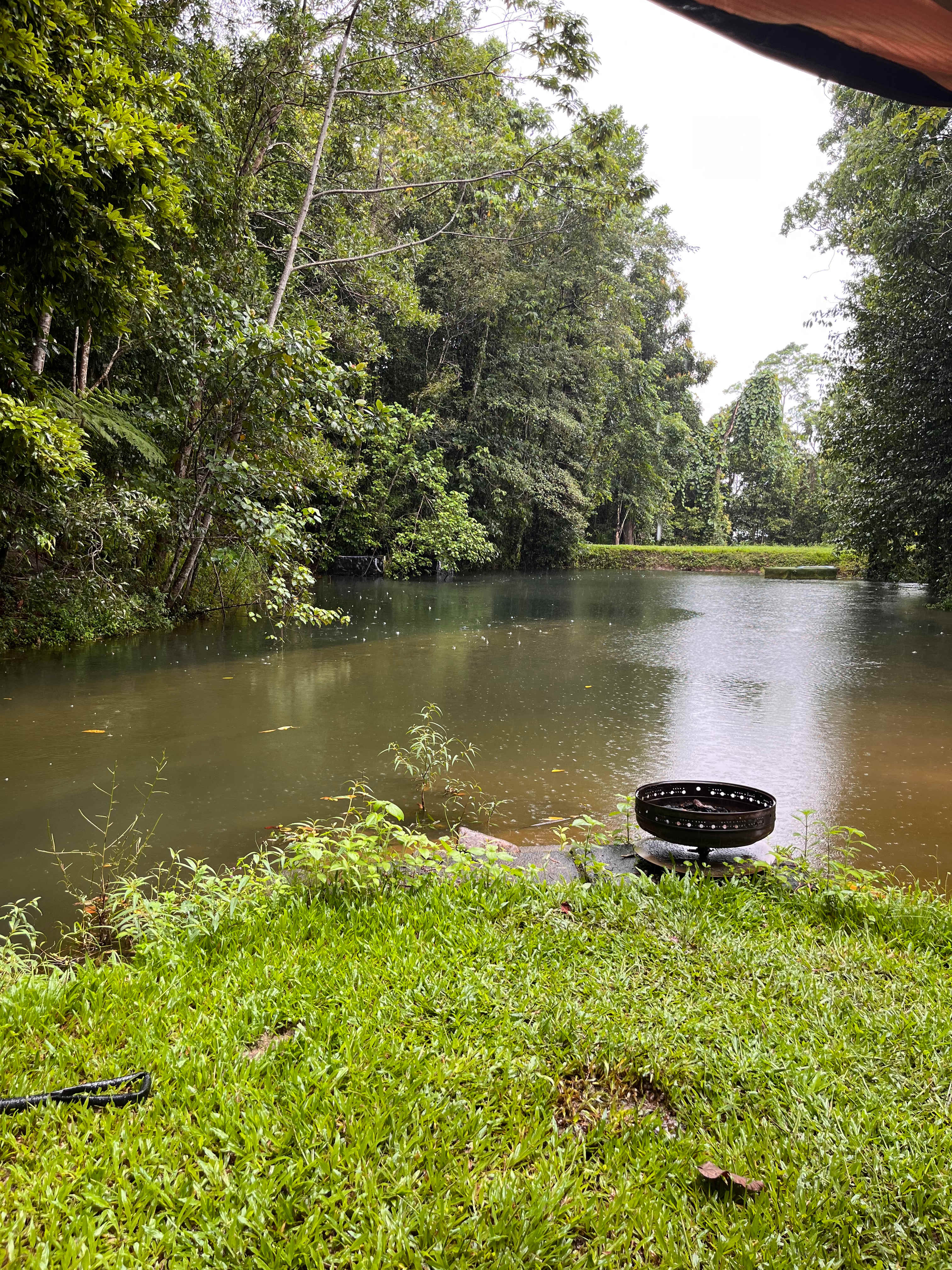 Tully Mountain ⛰️ Views