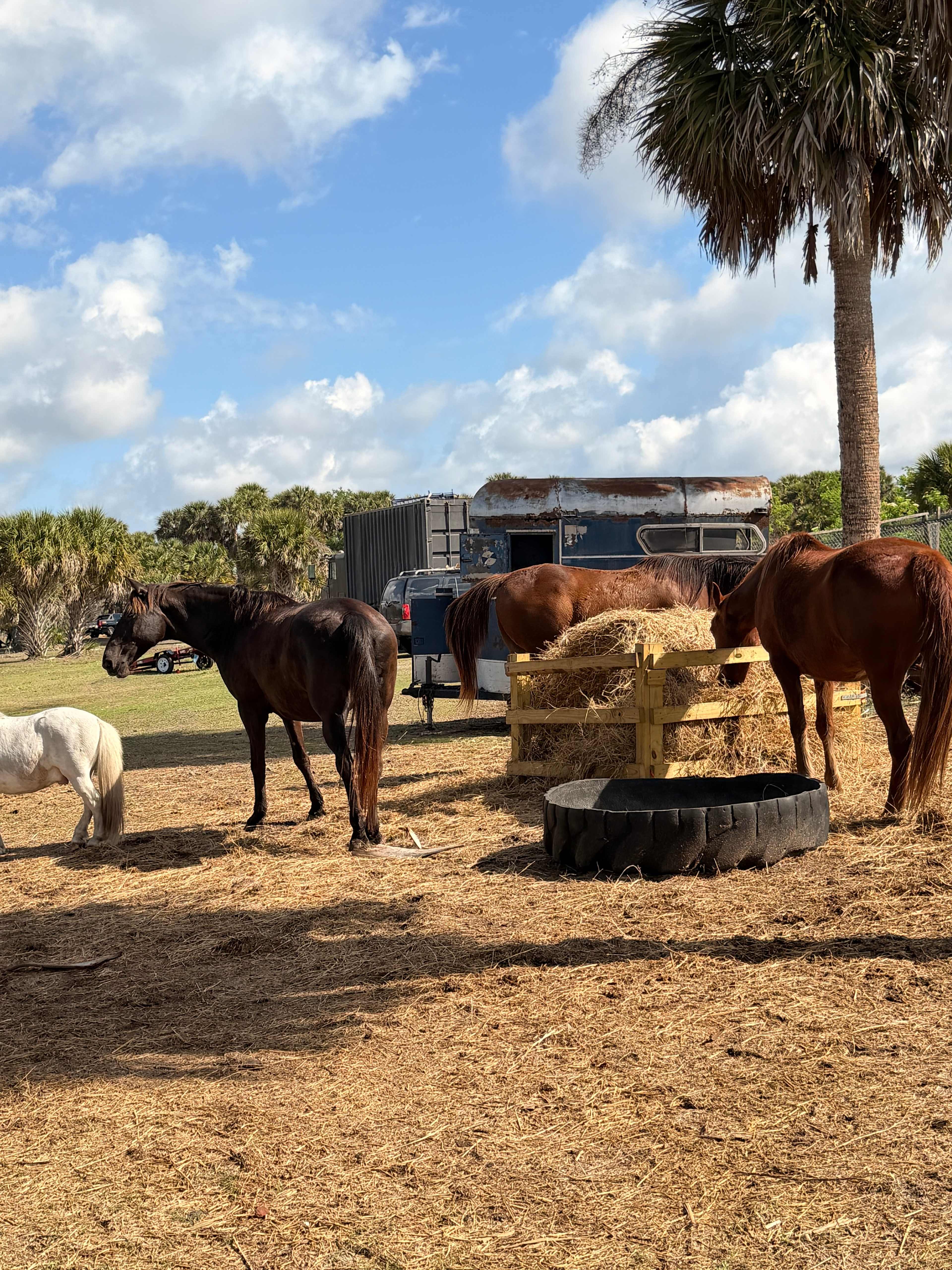 Blue Fox Ranch: Lake & Farm Camp