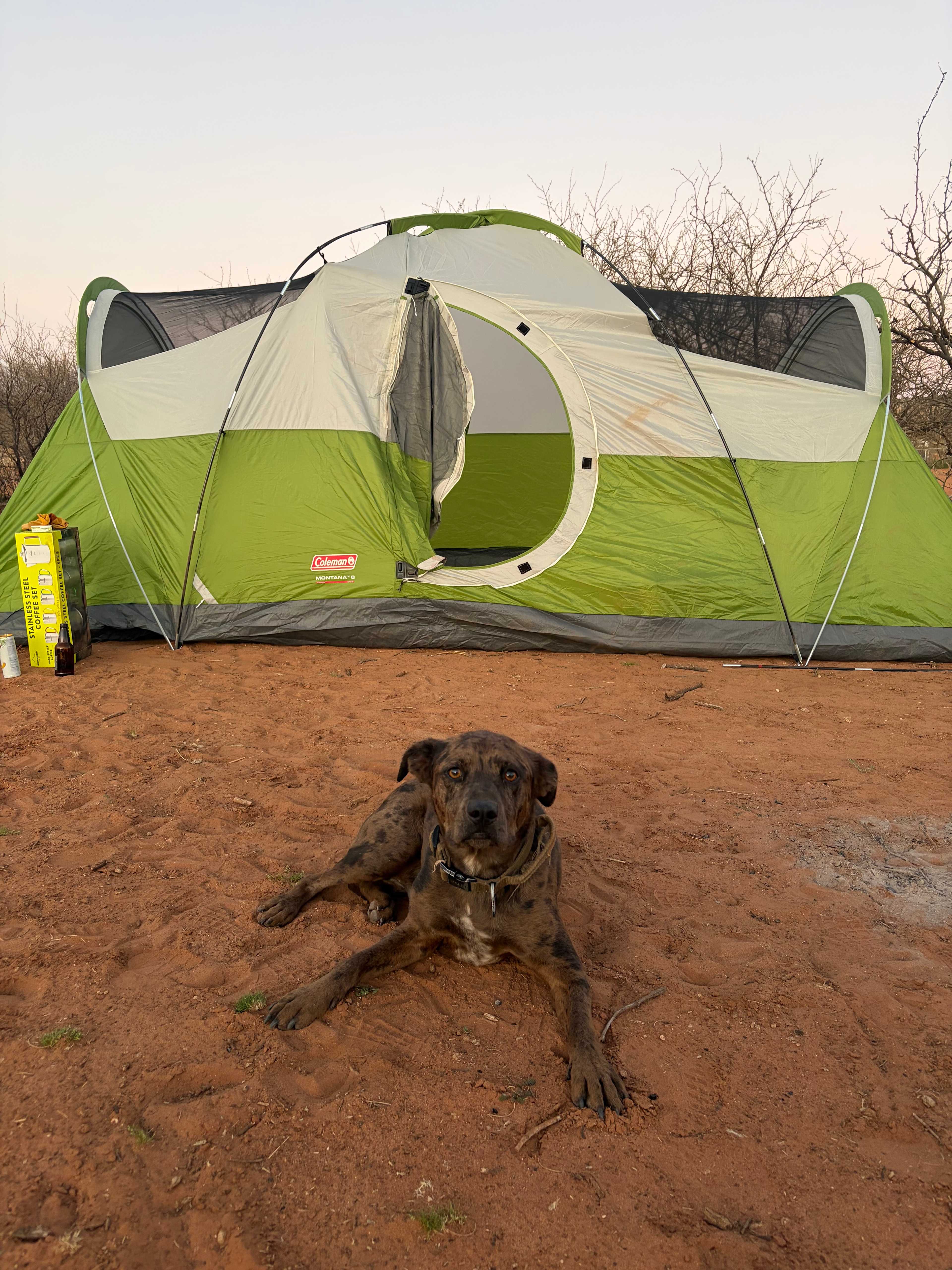 Rural Ranch & Petting Farm