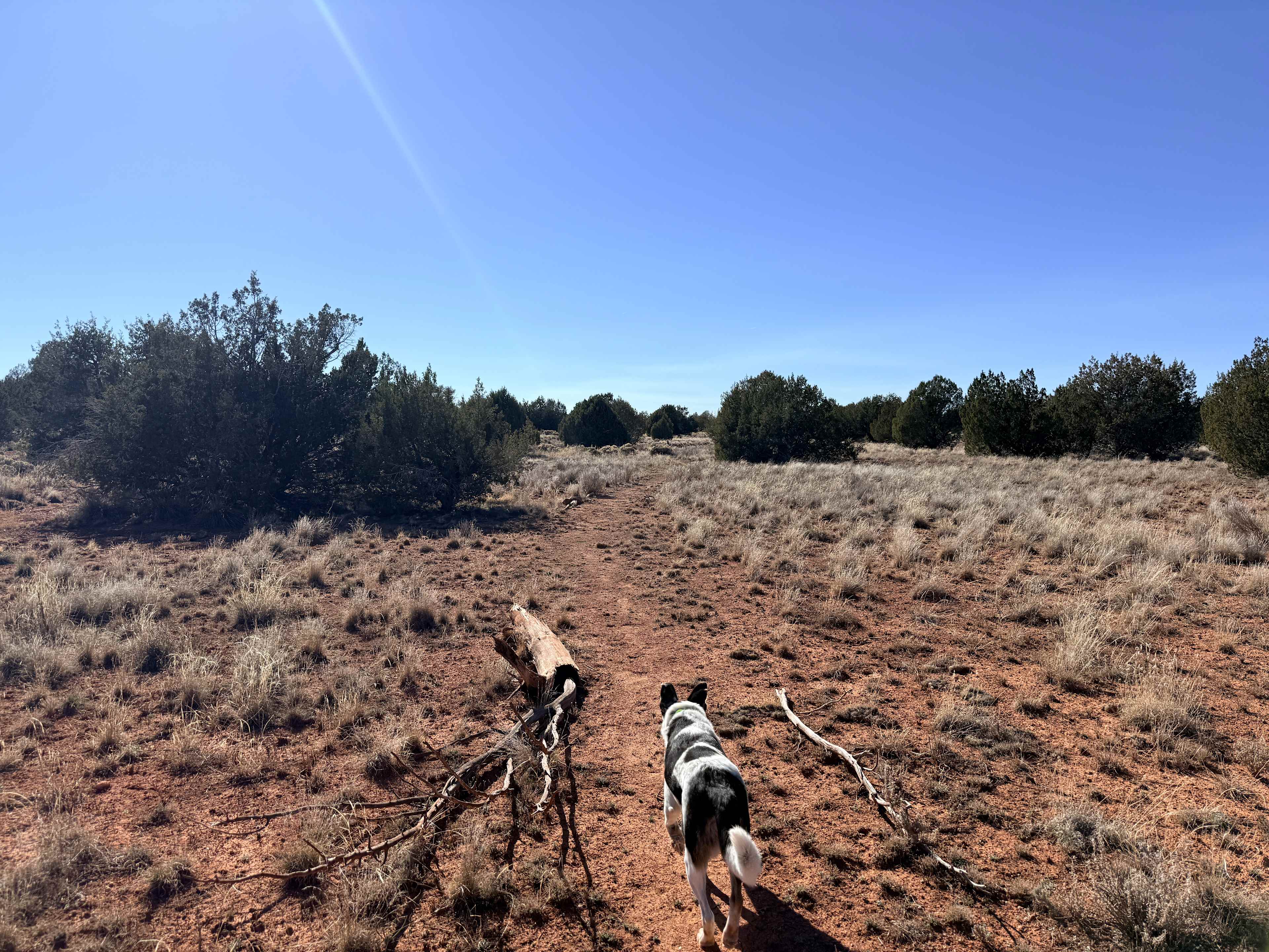 A Spark in the Dark Campground