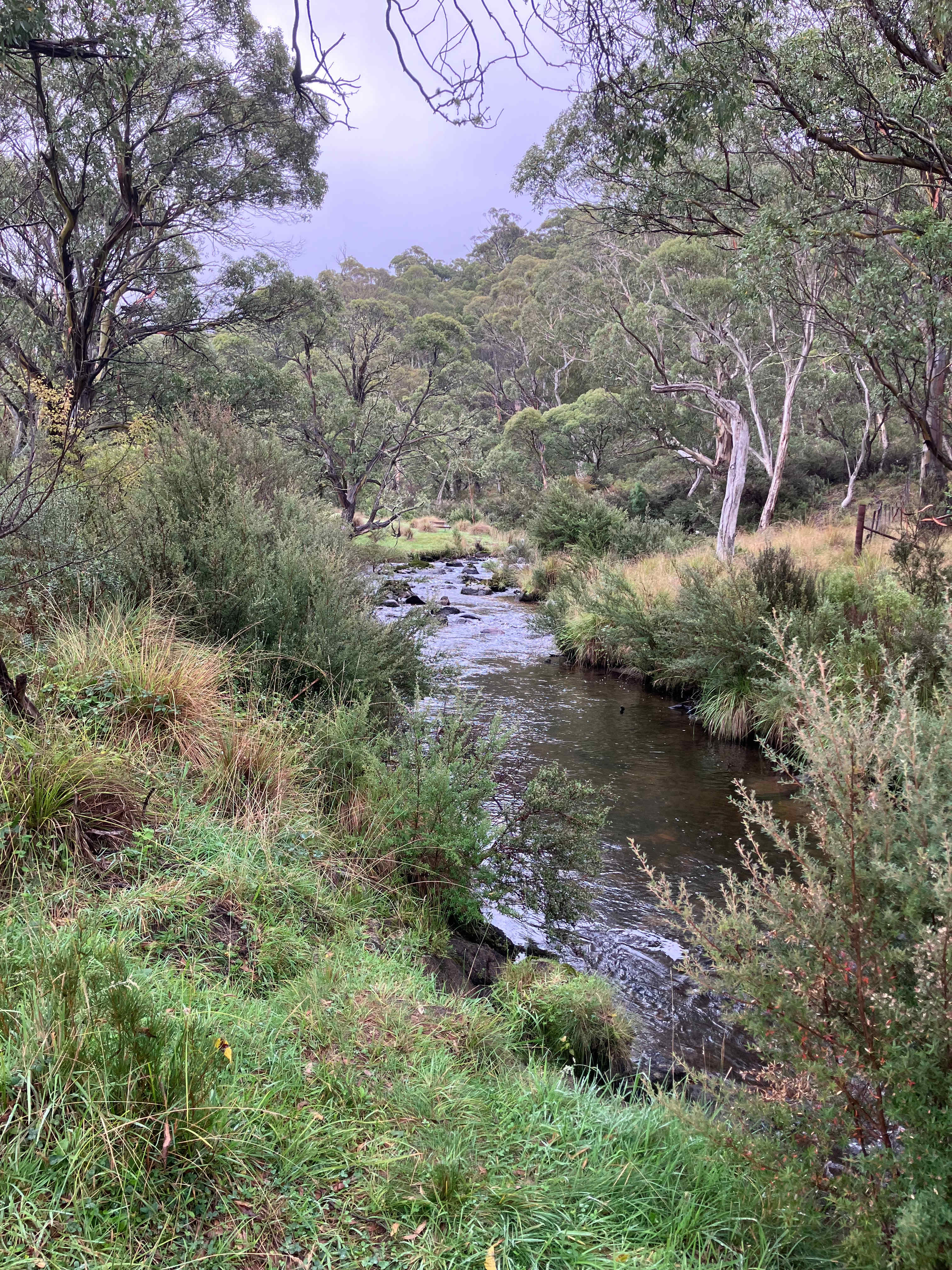 Bigyard Hipcamp where ...