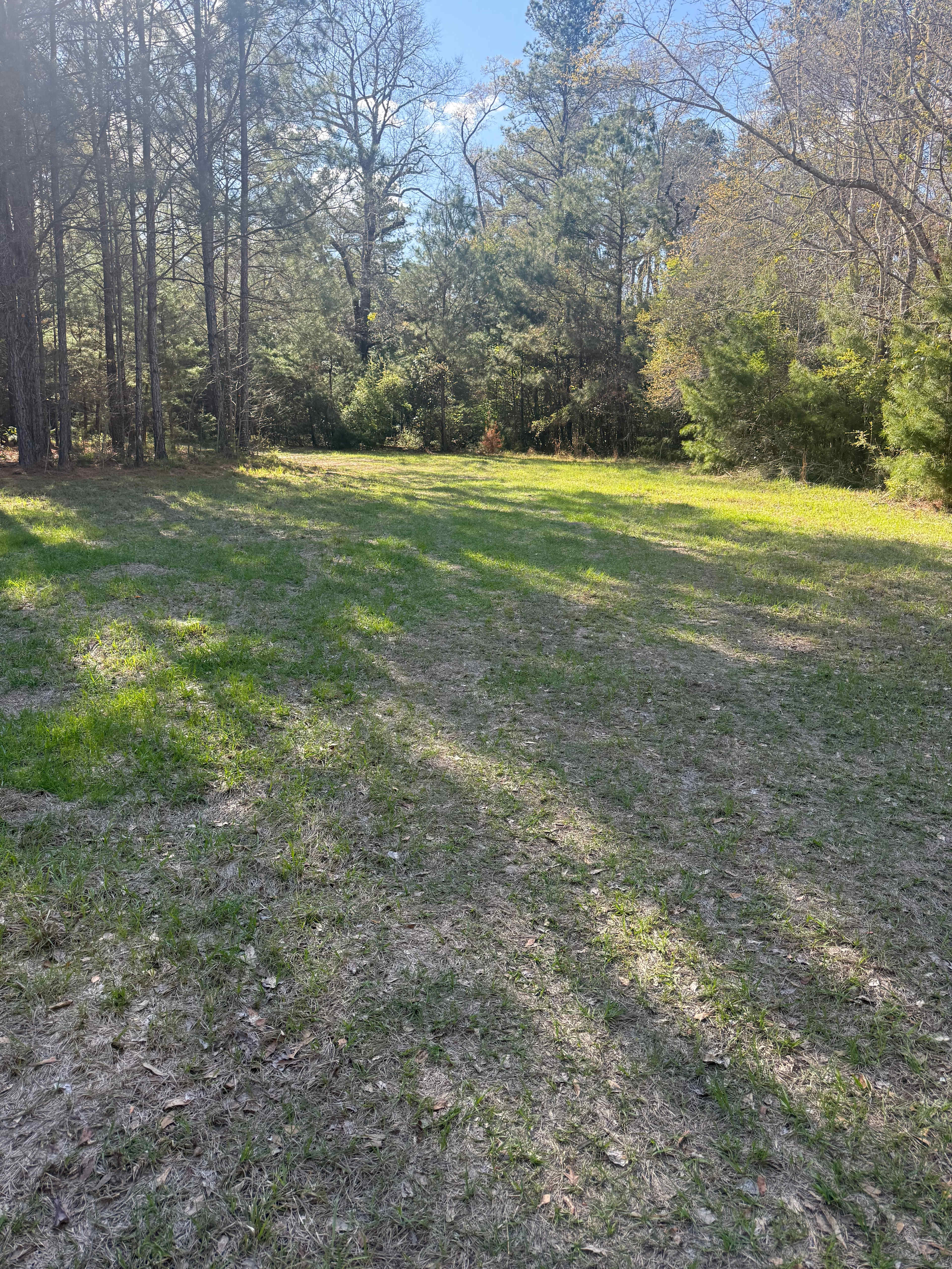 River Life Camping in Alabama