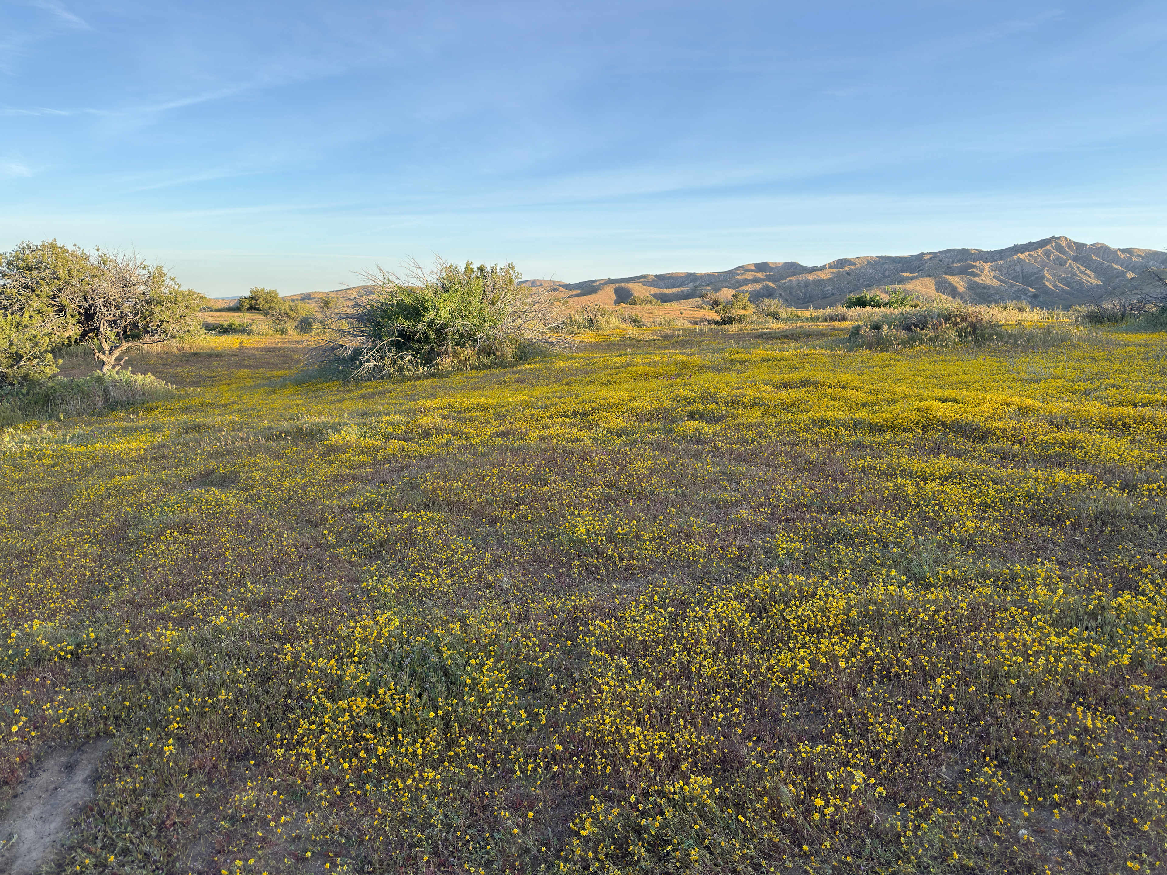 Cuyama Badlands