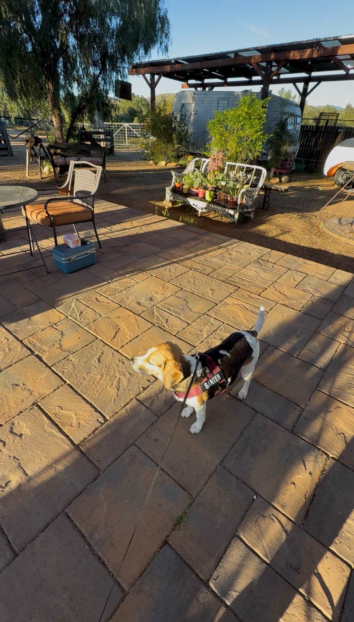 Zen Ranch And Retreat