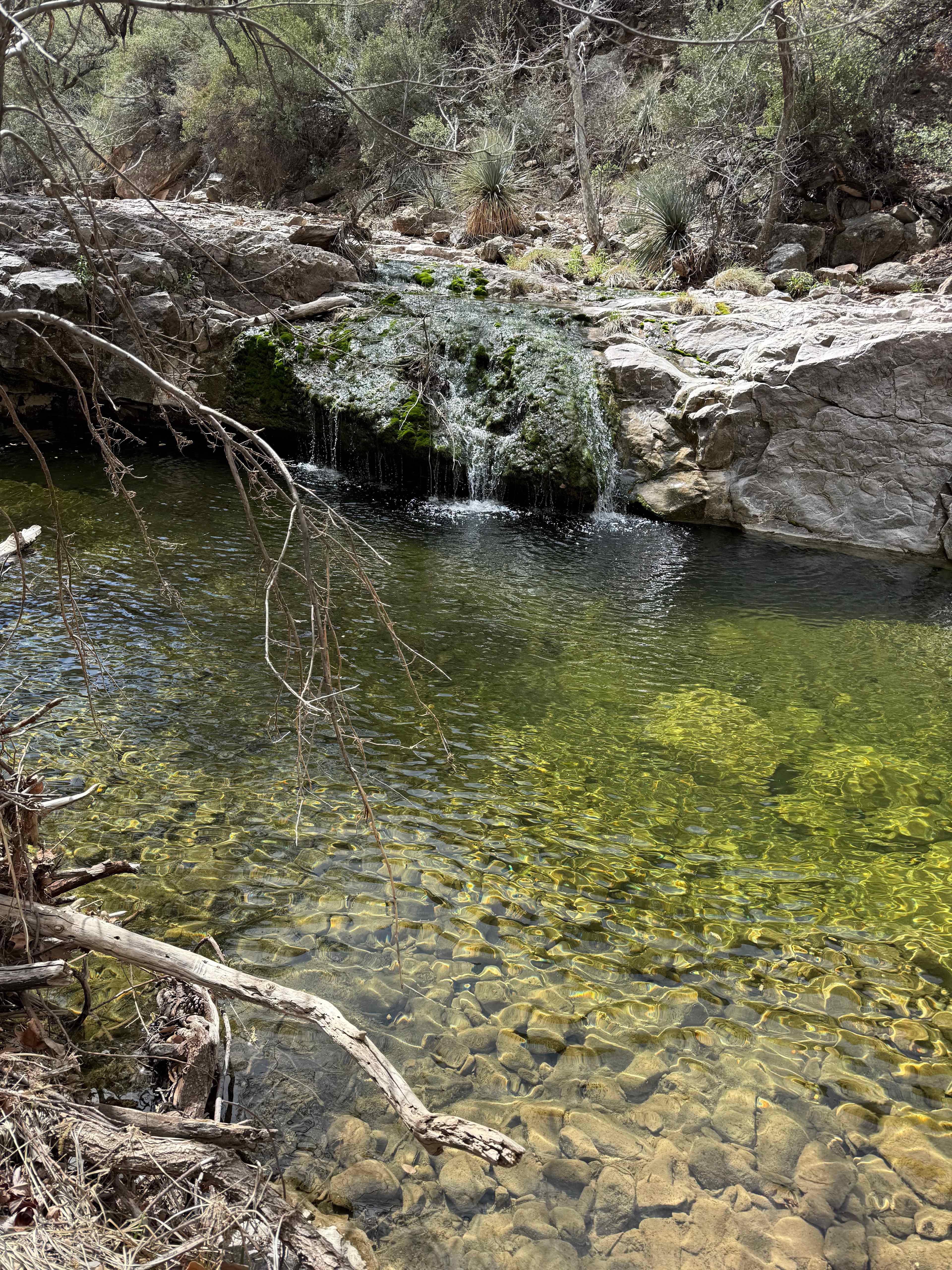 Ash Creek: Canyon Views & History