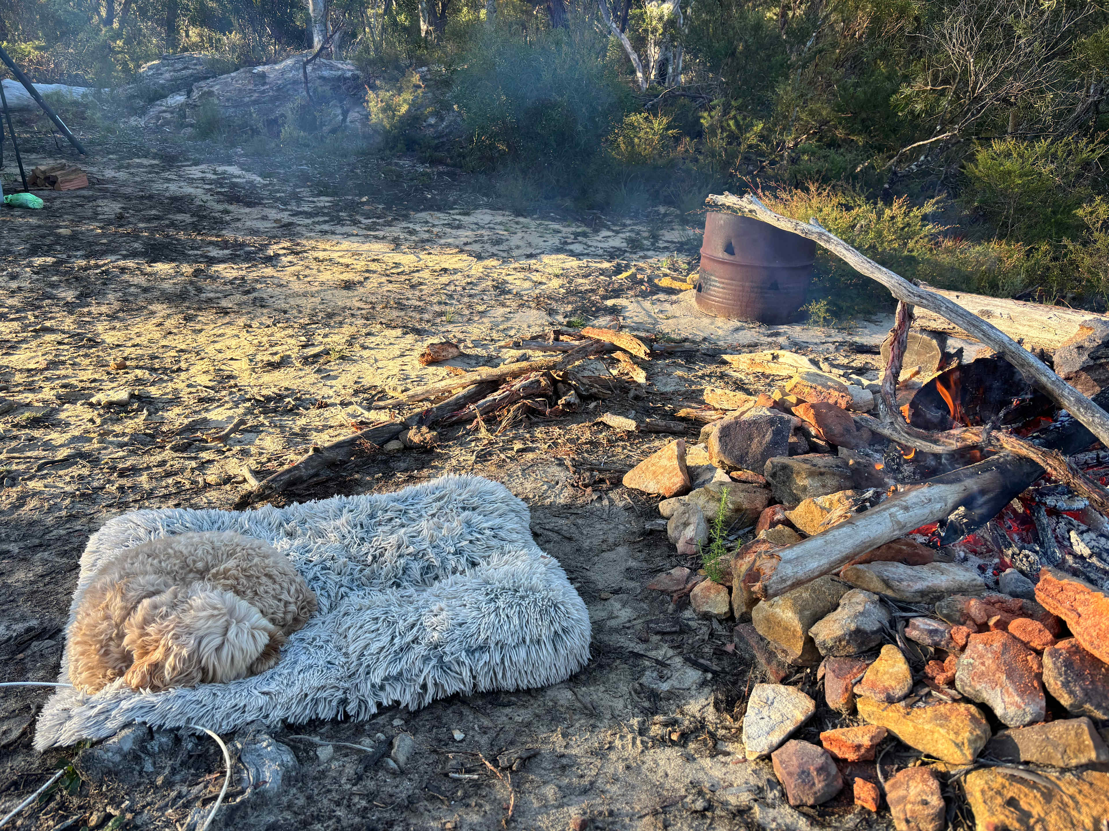 Pet friendly and great fire pit