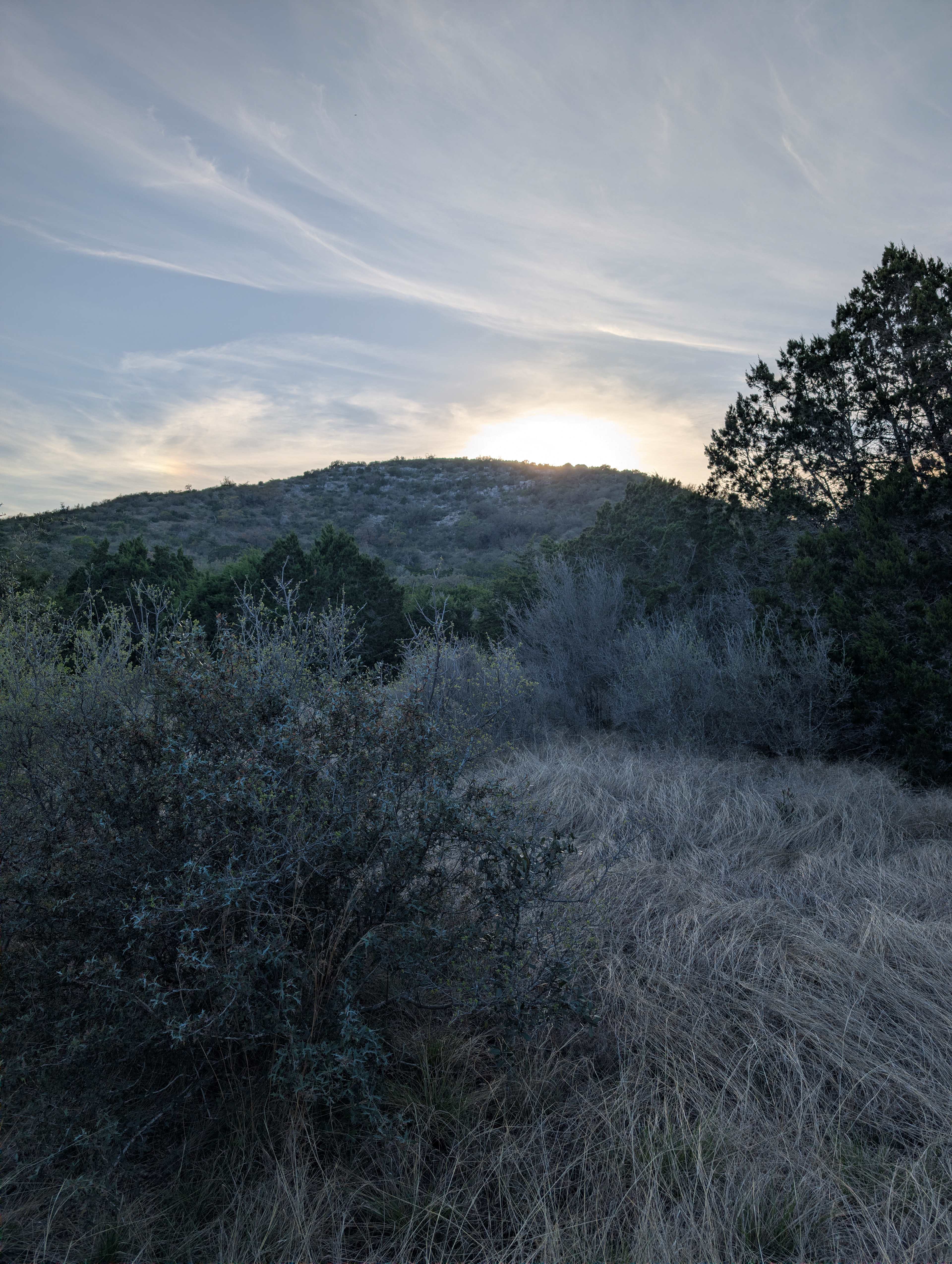 Dark Sky/Hike/Bird/Bike - Utopia