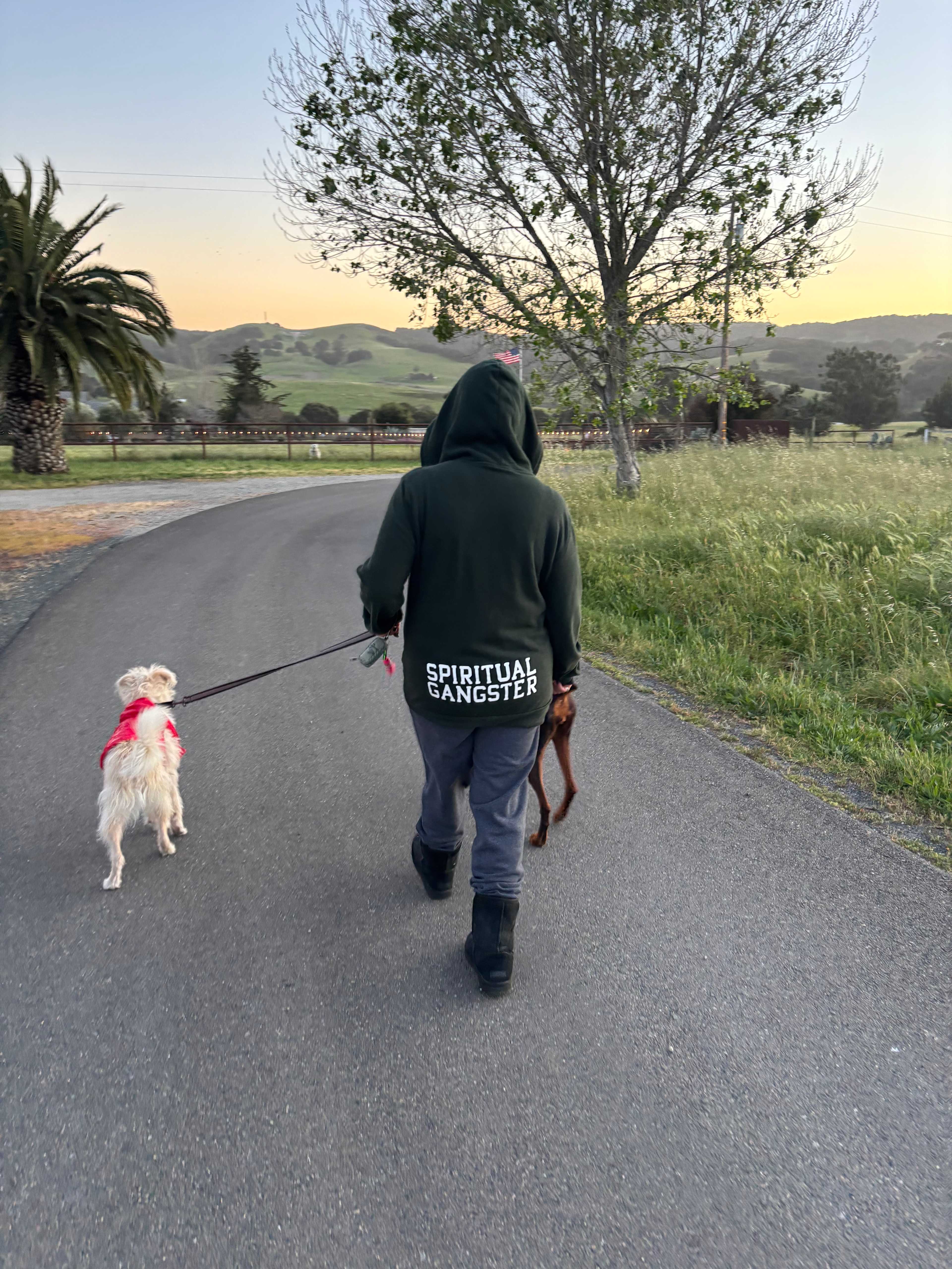 Walk down the road - gorgeous views