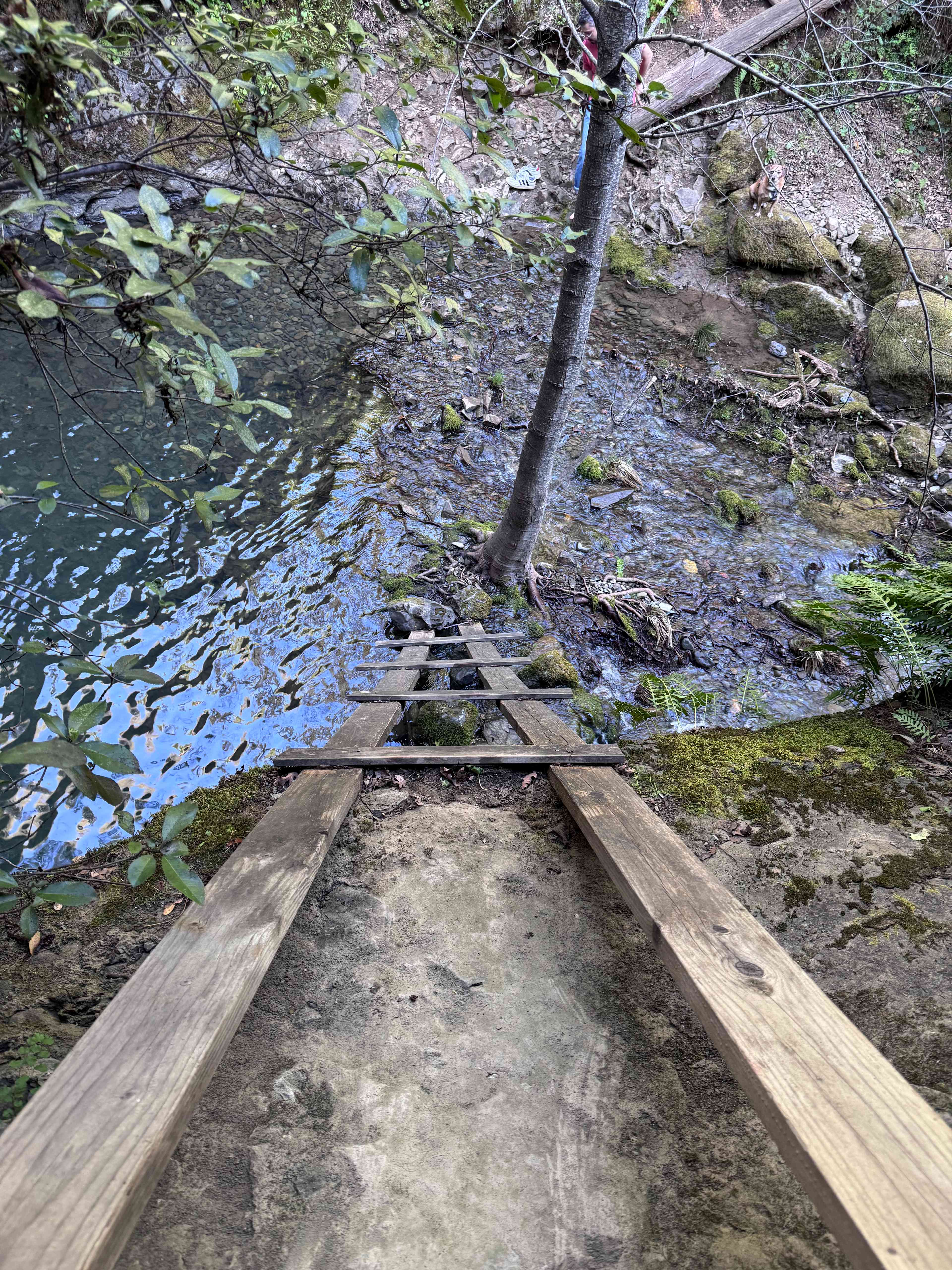 spirit chicken ranch