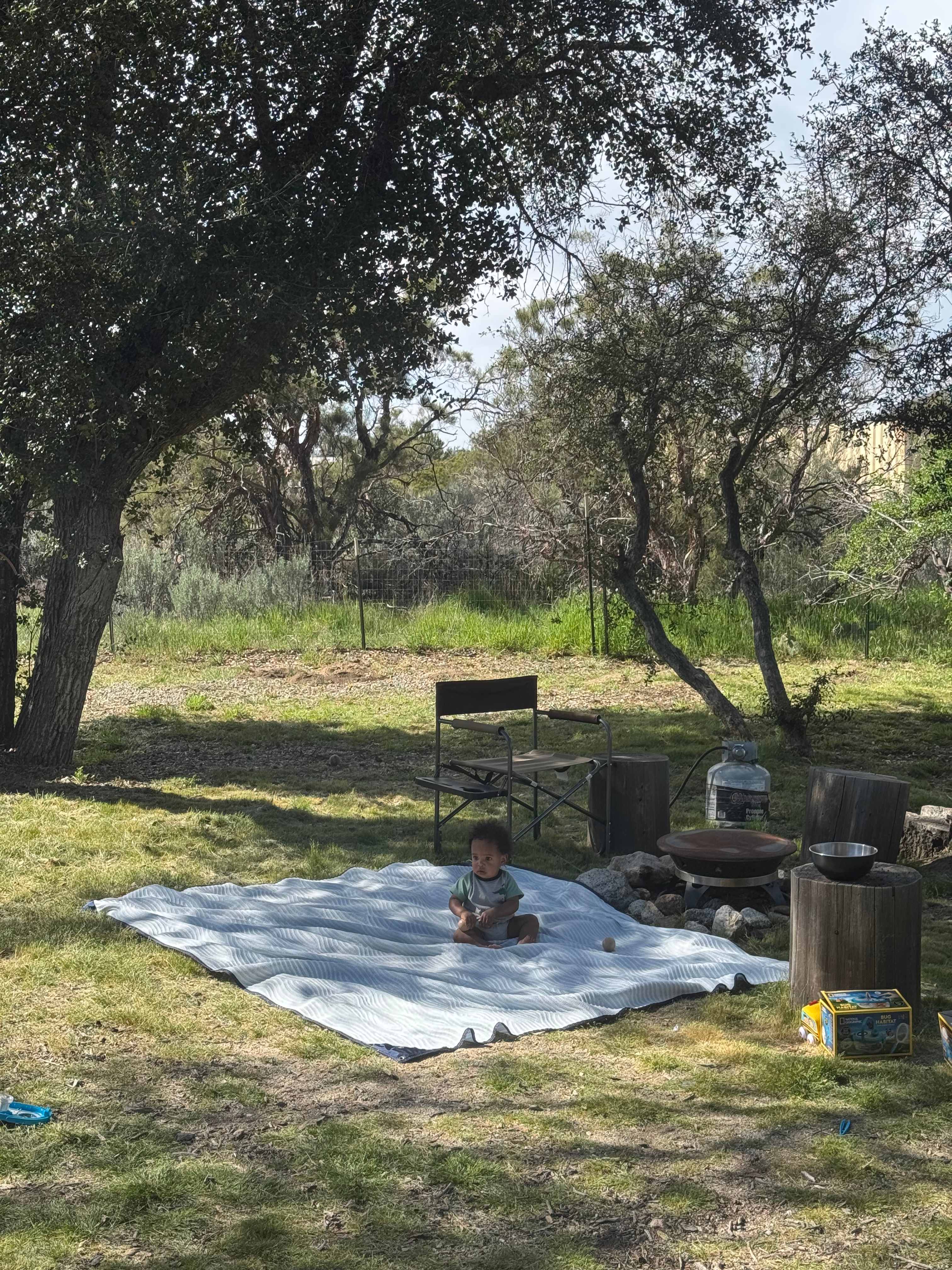 One of our three enjoying the view! 