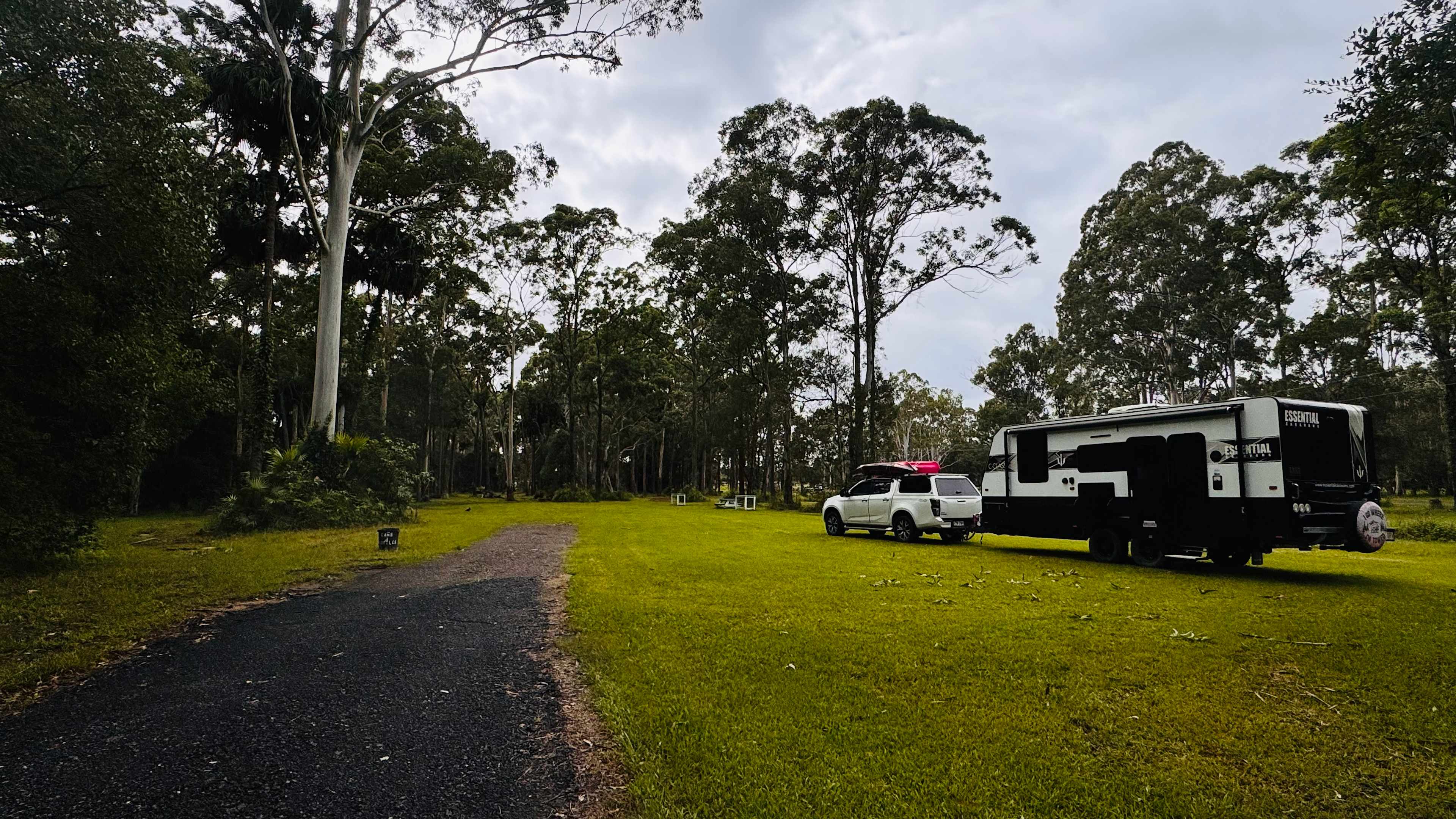 Horse Arena paddock. Solid grassed area.